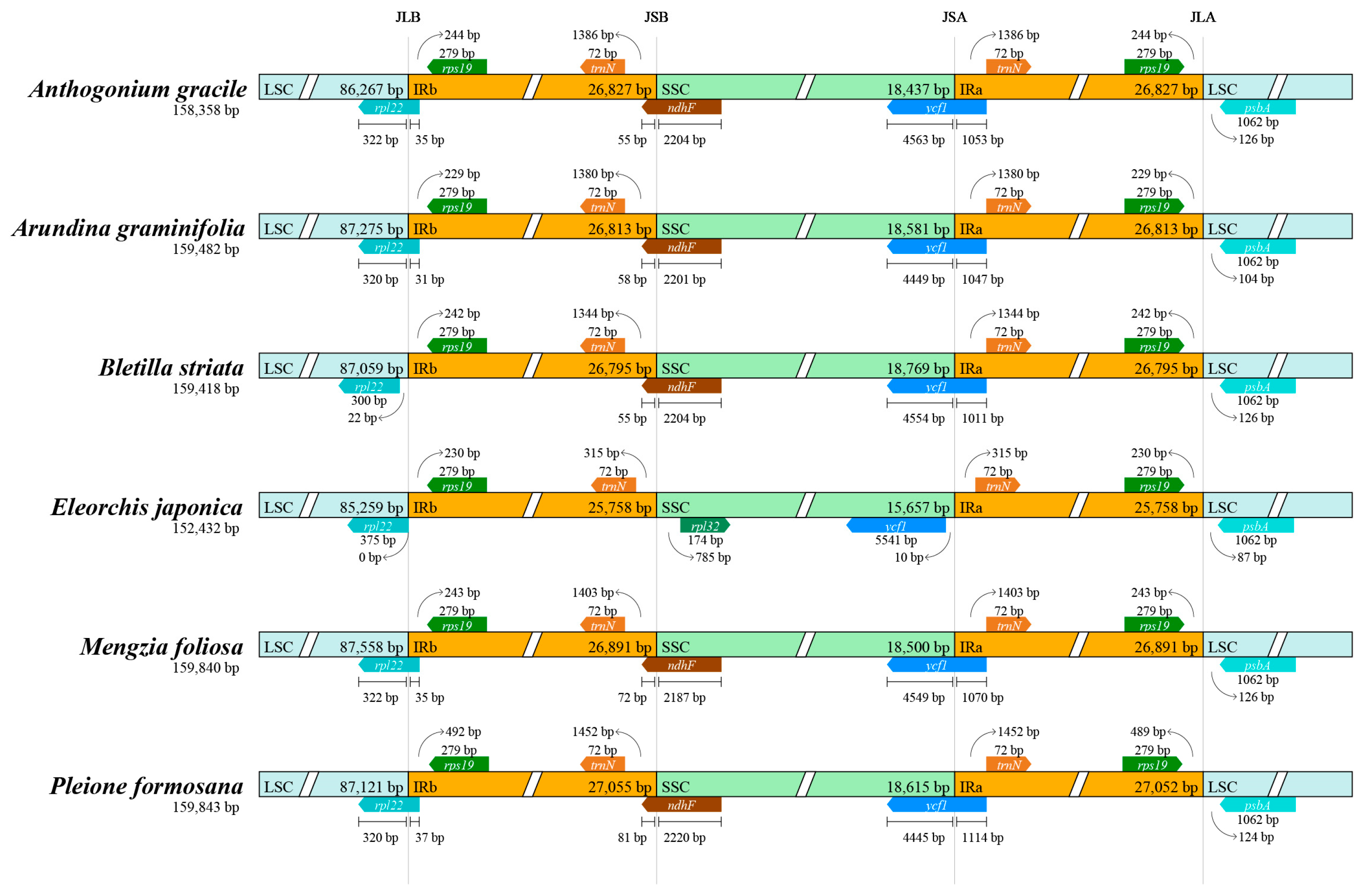 Horticulturae 11 00698 g002