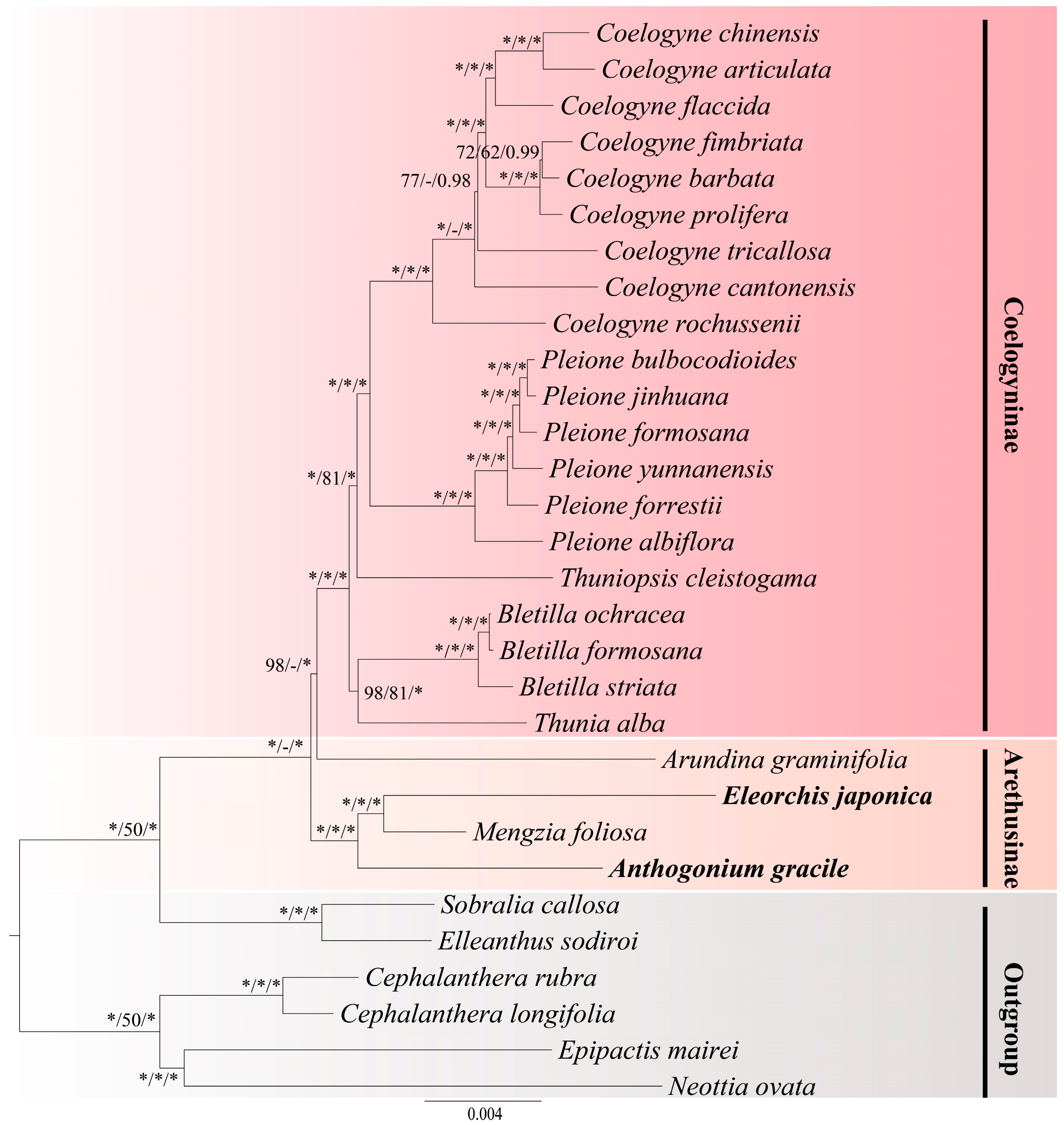 Horticulturae 11 00698 g007