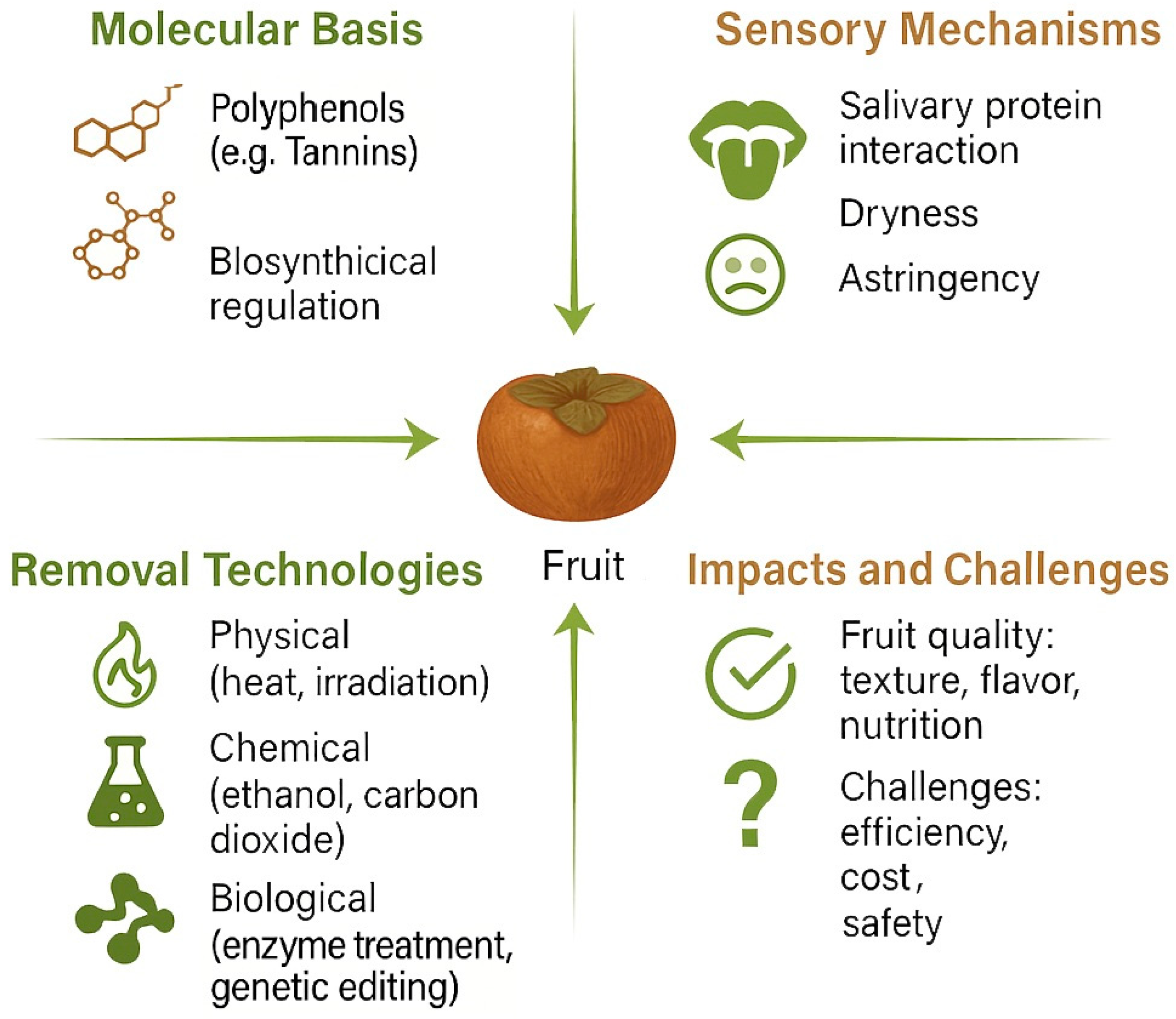 Horticulturae 11 00699 g001