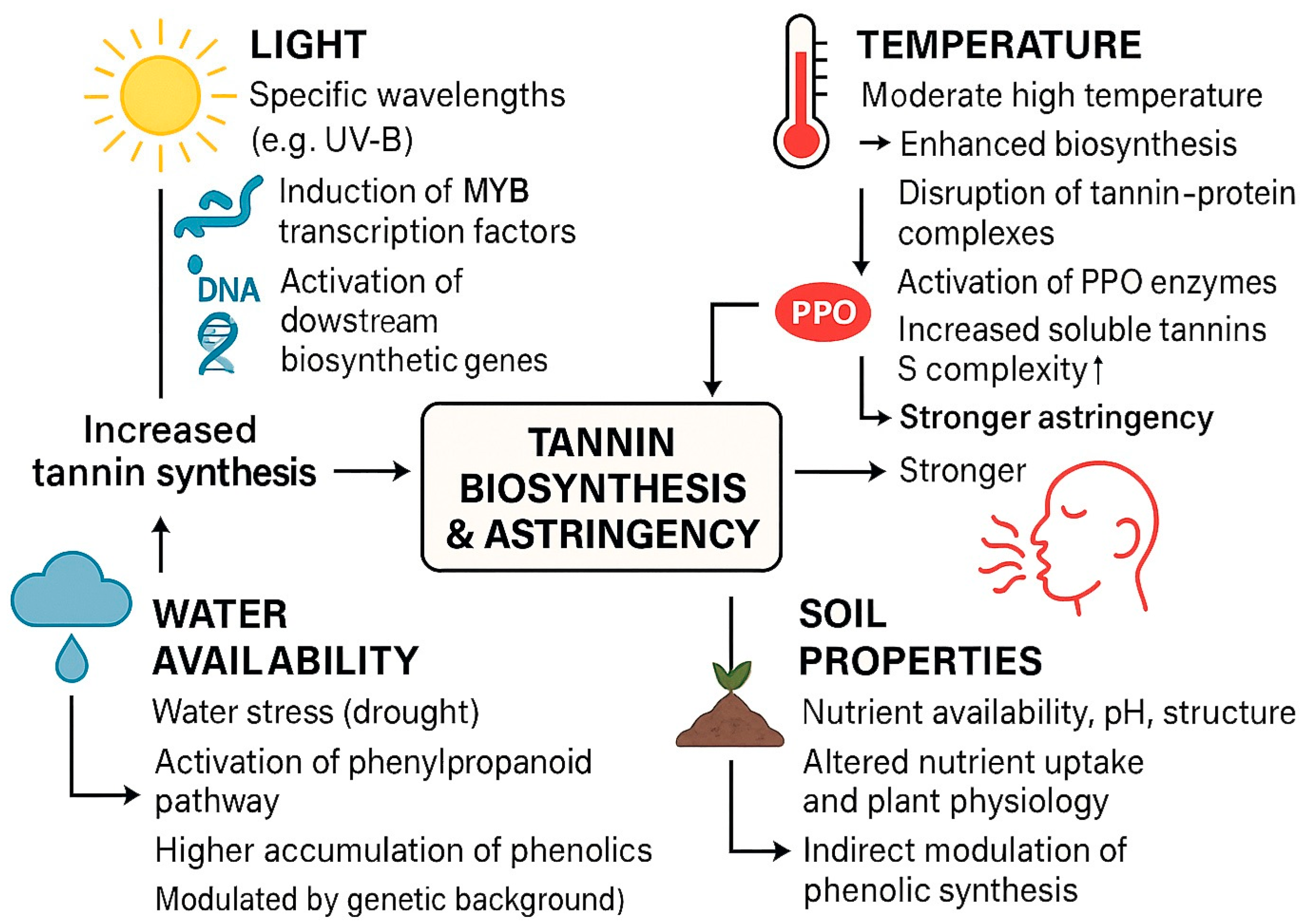 Horticulturae 11 00699 g003