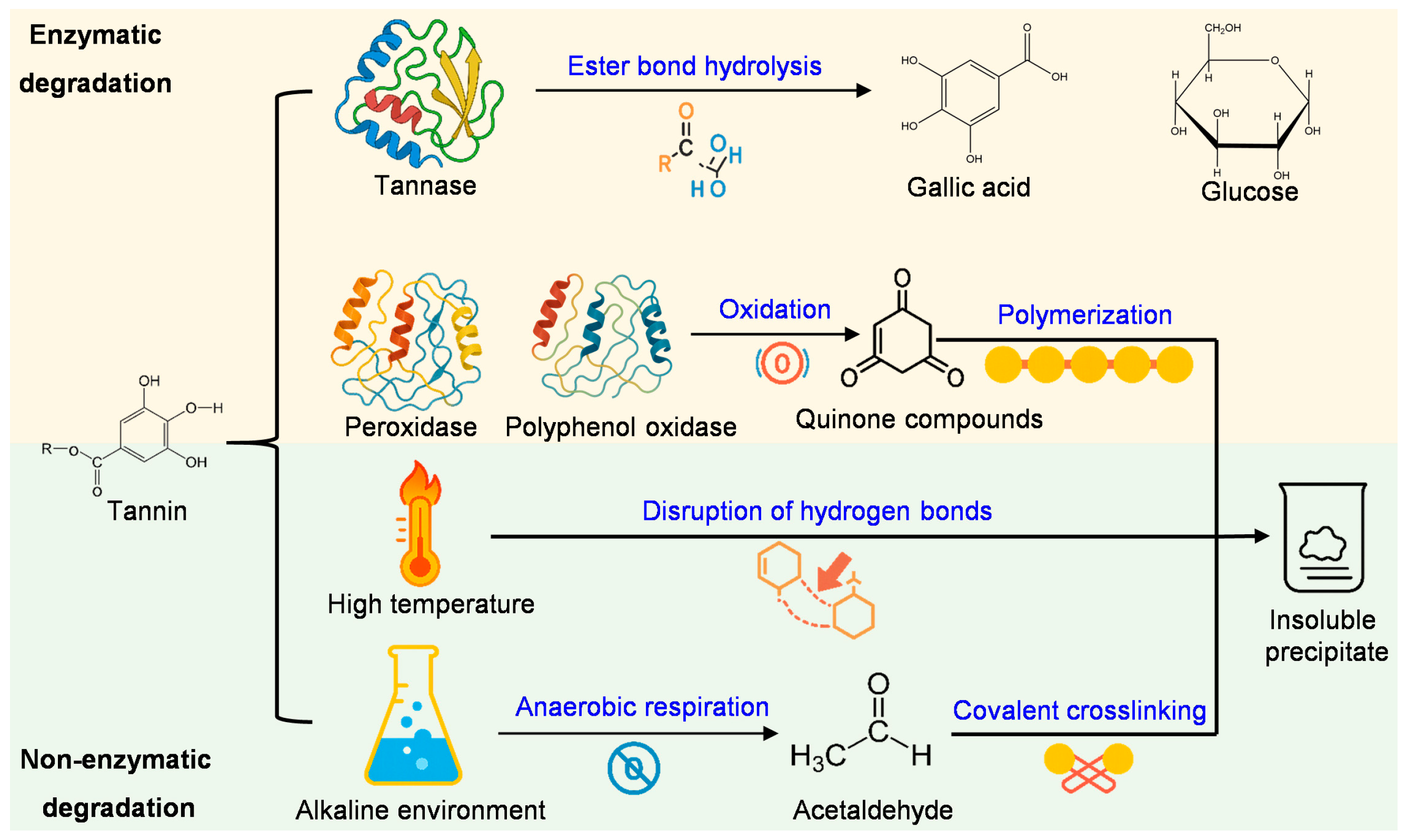 Horticulturae 11 00699 g004