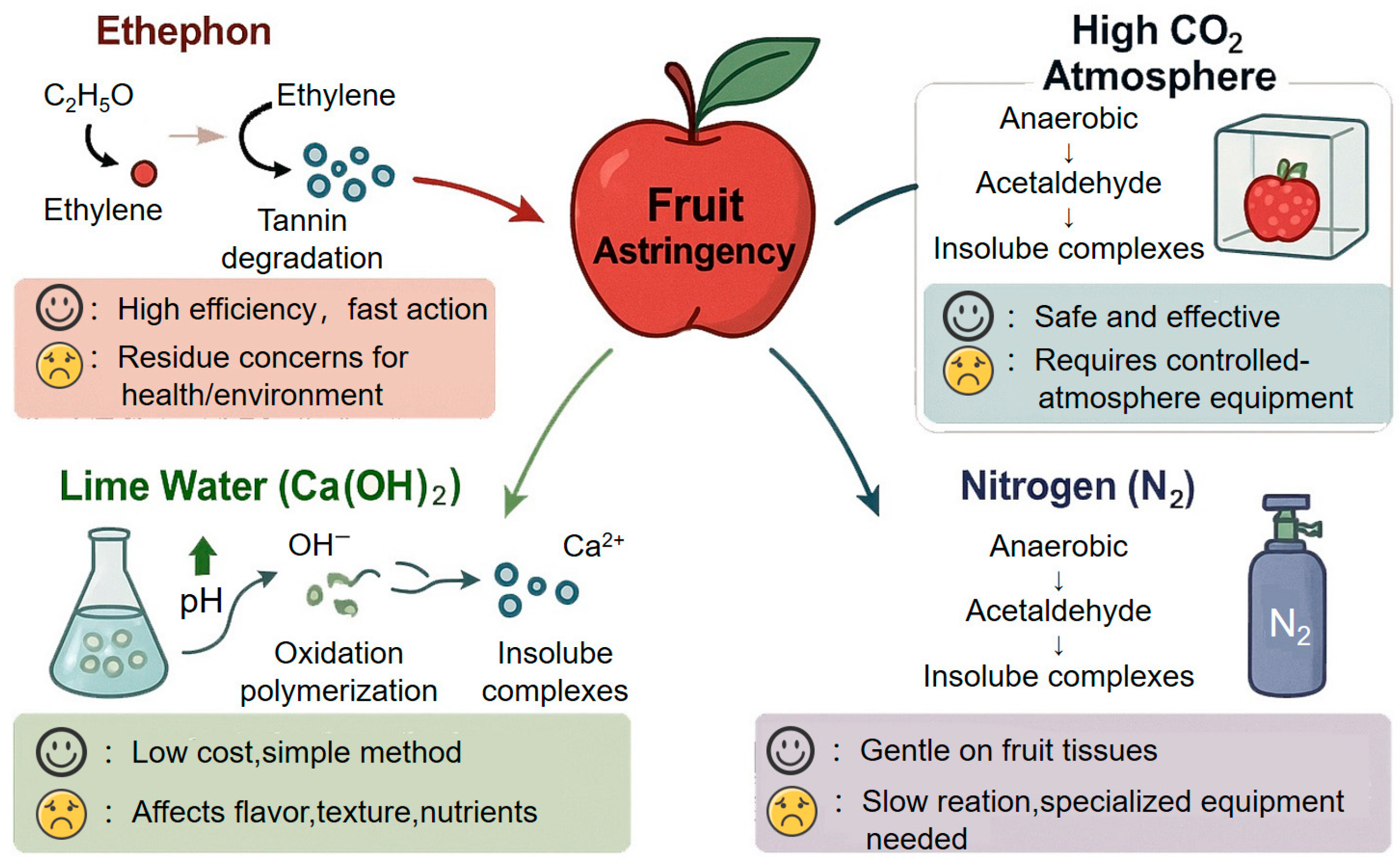 Horticulturae 11 00699 g006