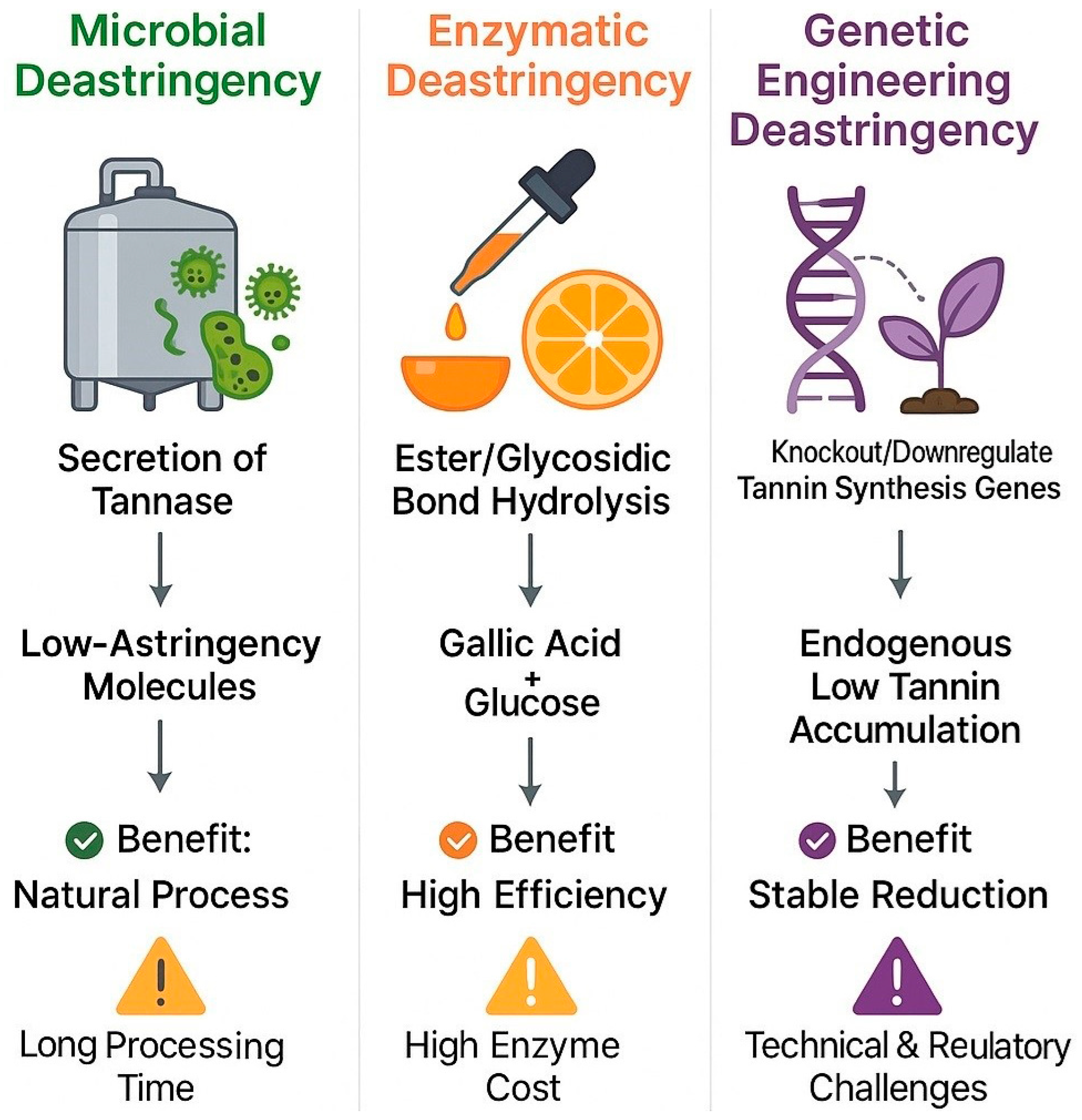 Horticulturae 11 00699 g007