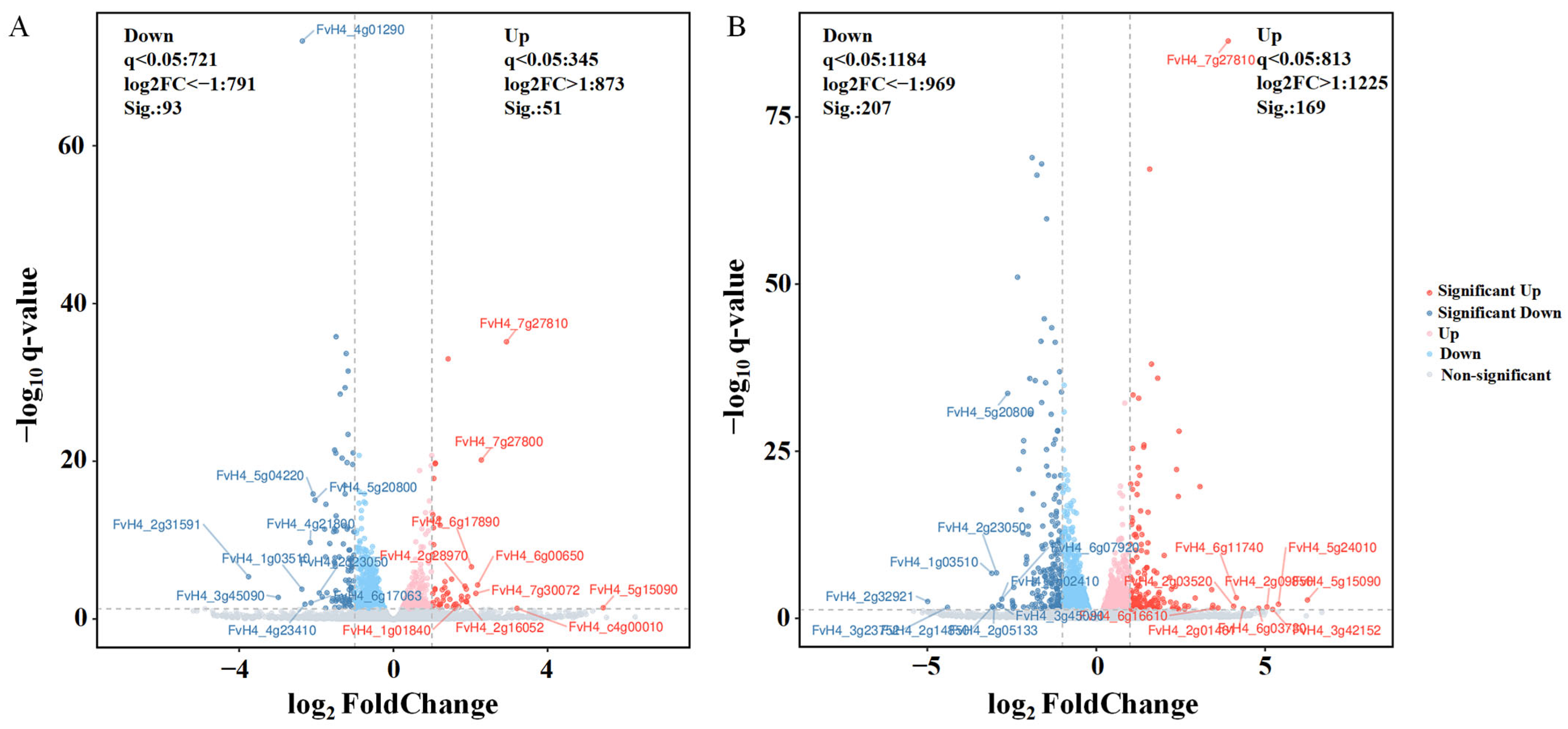 Horticulturae 11 00701 g005