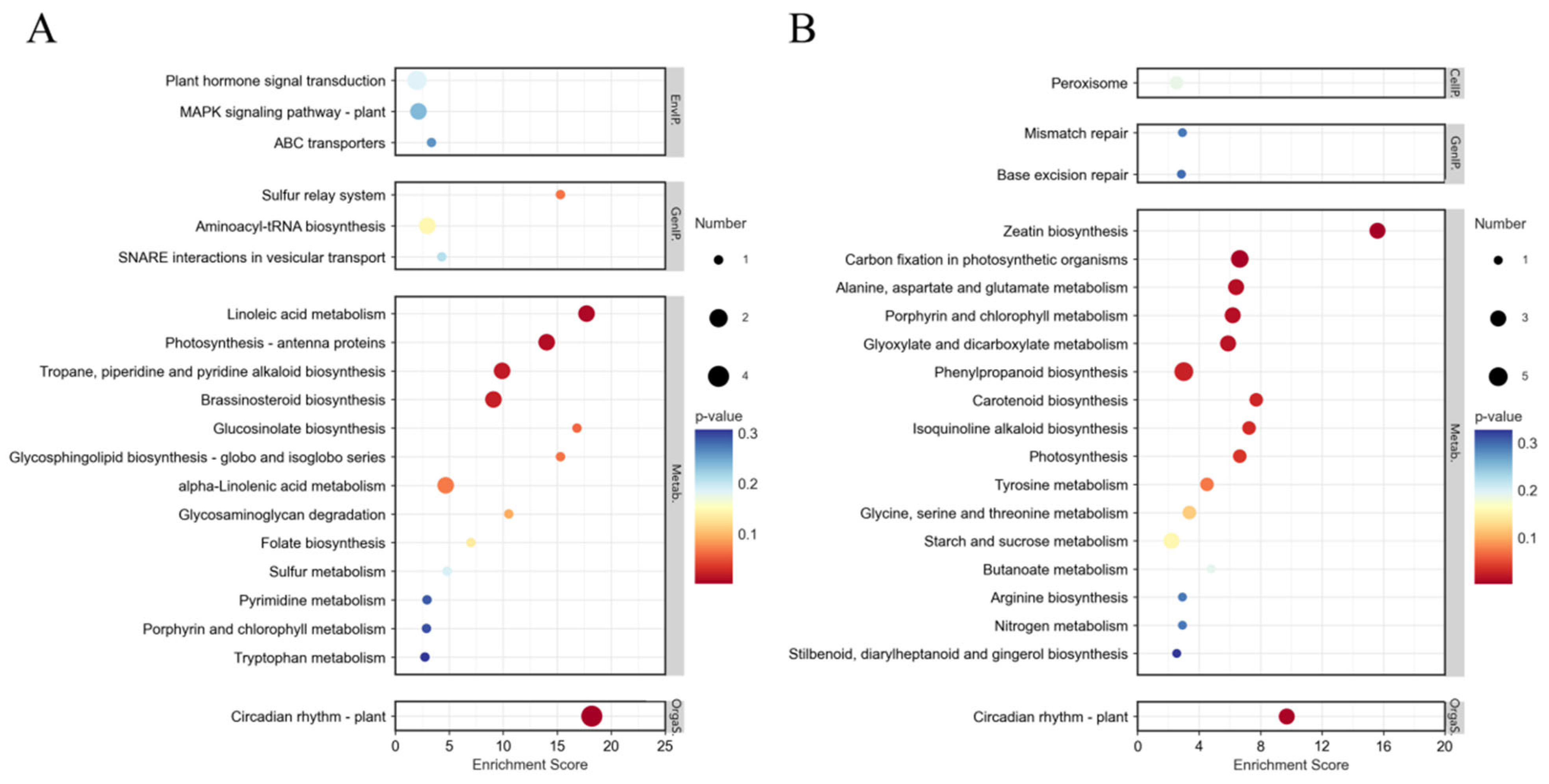 Horticulturae 11 00701 g009