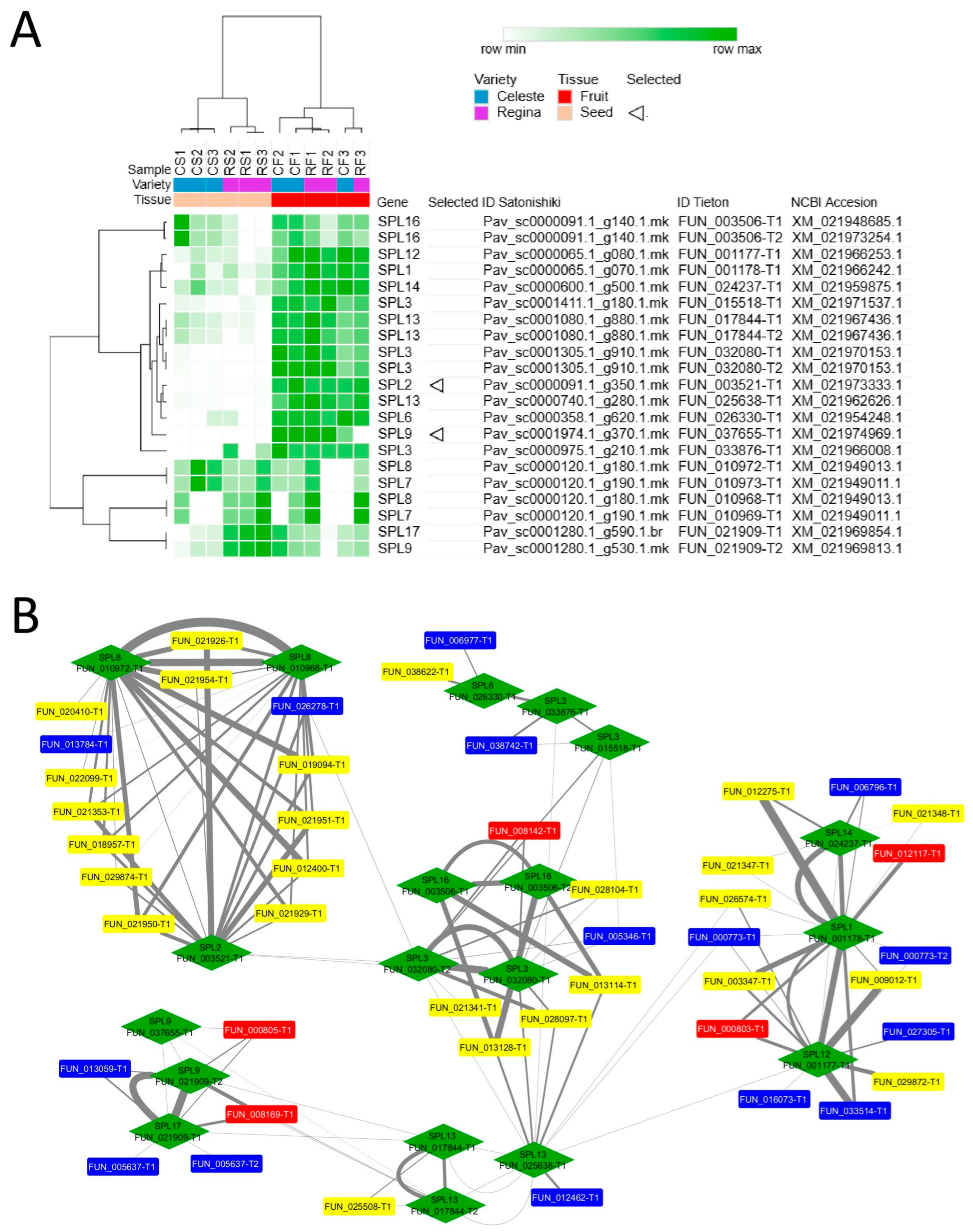 Horticulturae 11 00706 g003