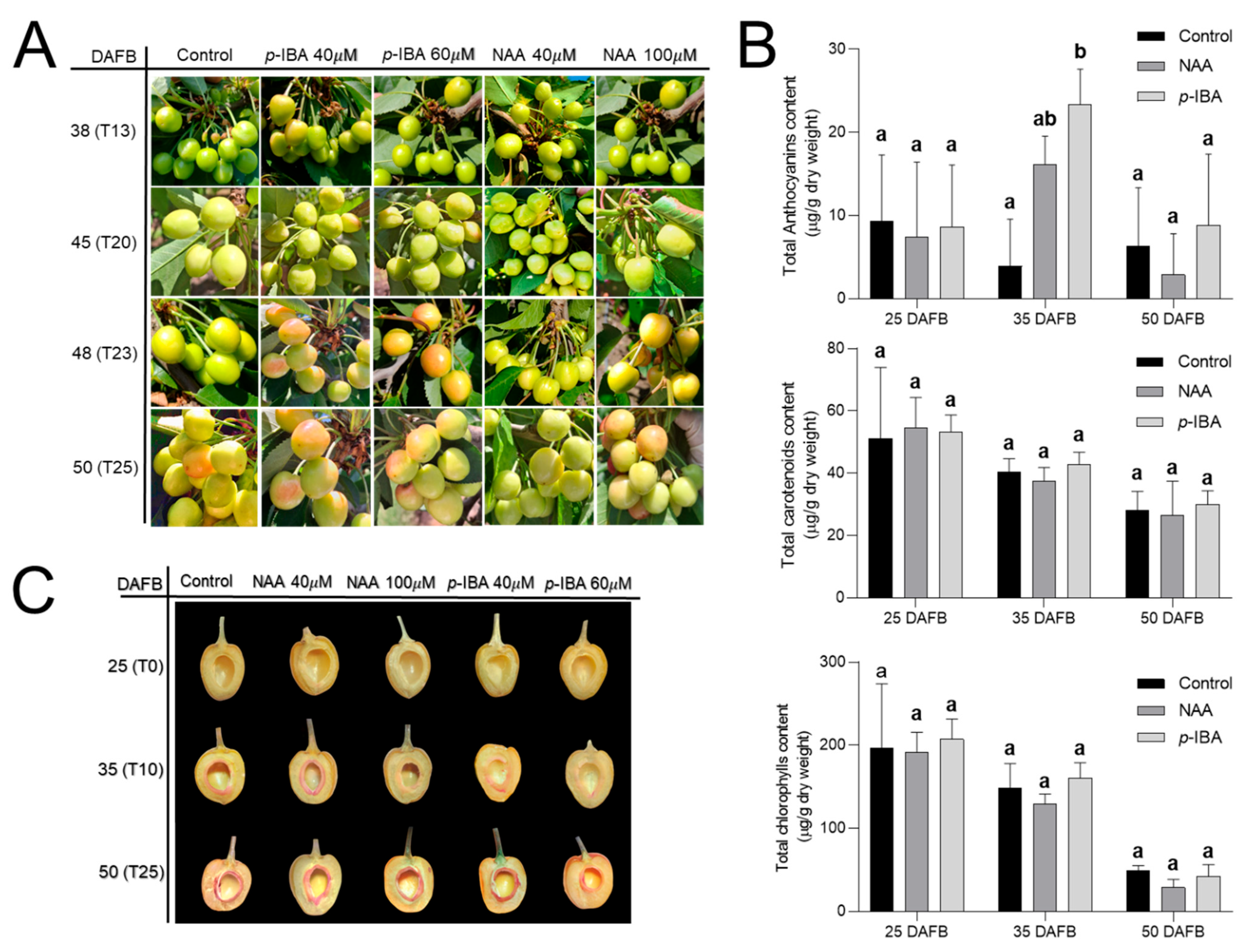 Horticulturae 11 00706 g007