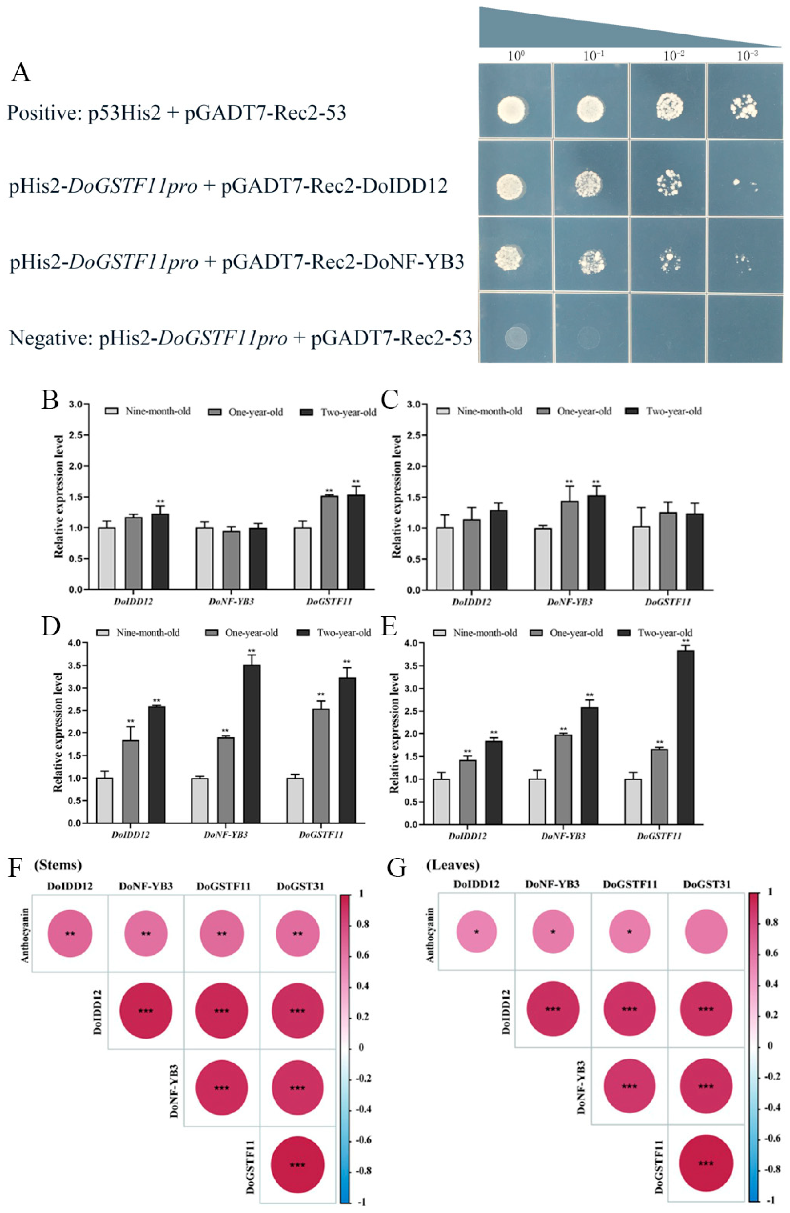 Horticulturae 11 00711 g006