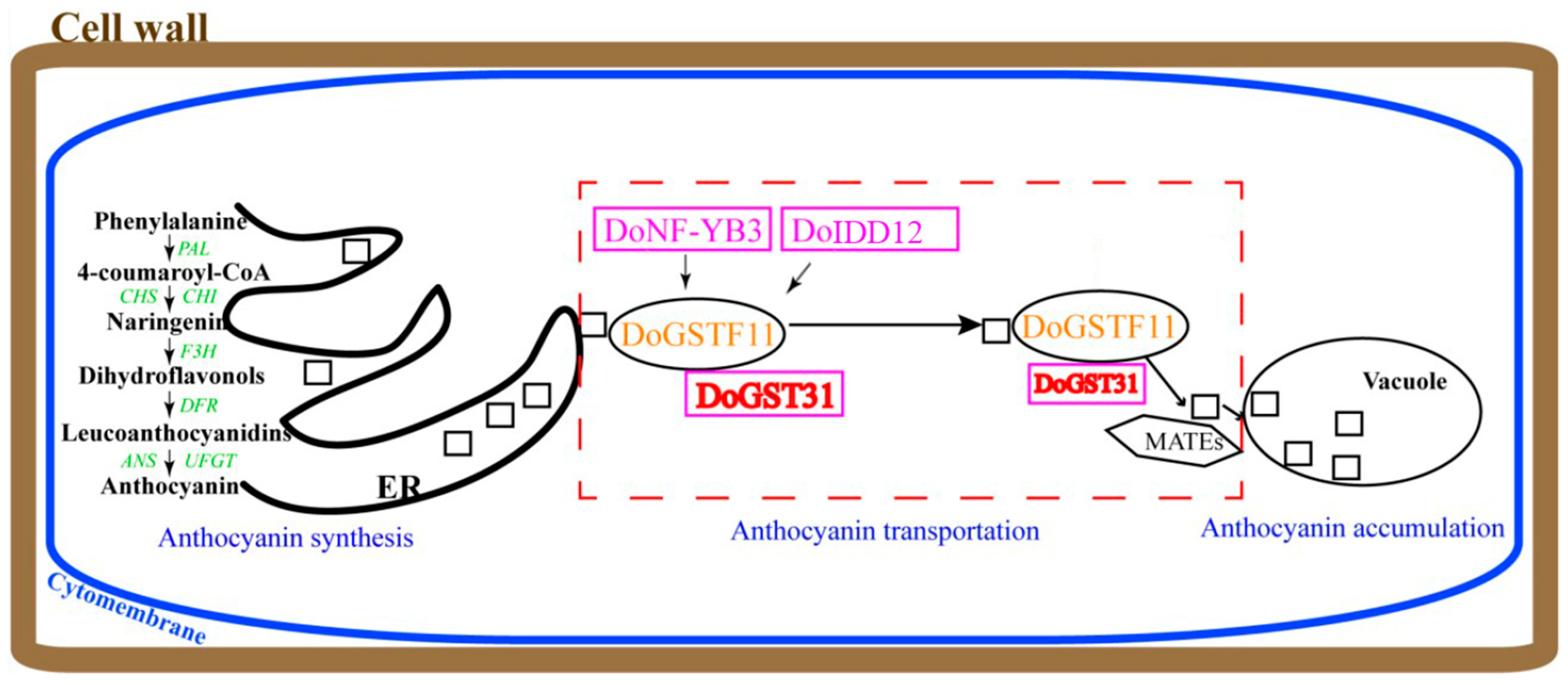Horticulturae 11 00711 g007