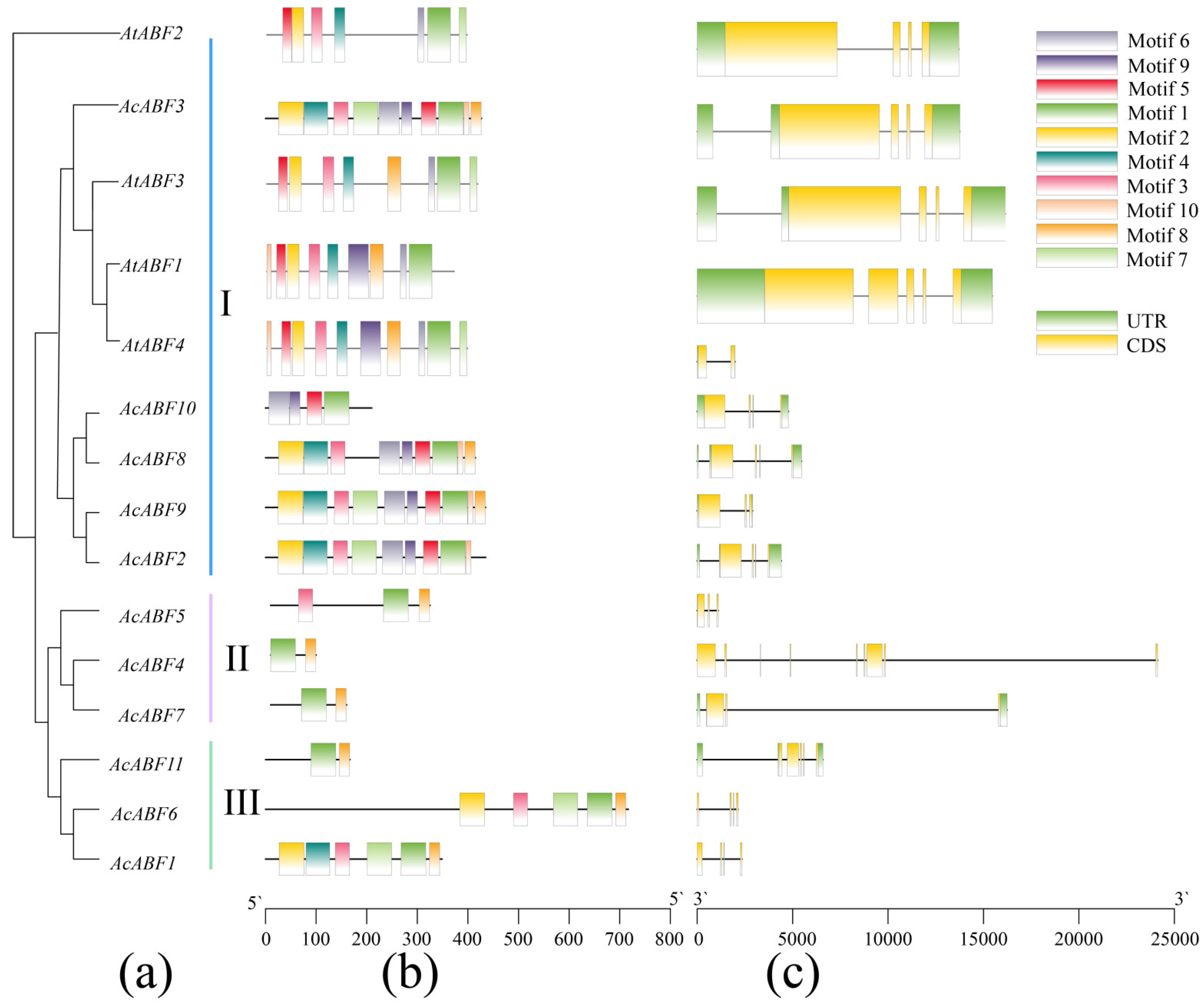 Horticulturae 11 00715 g004