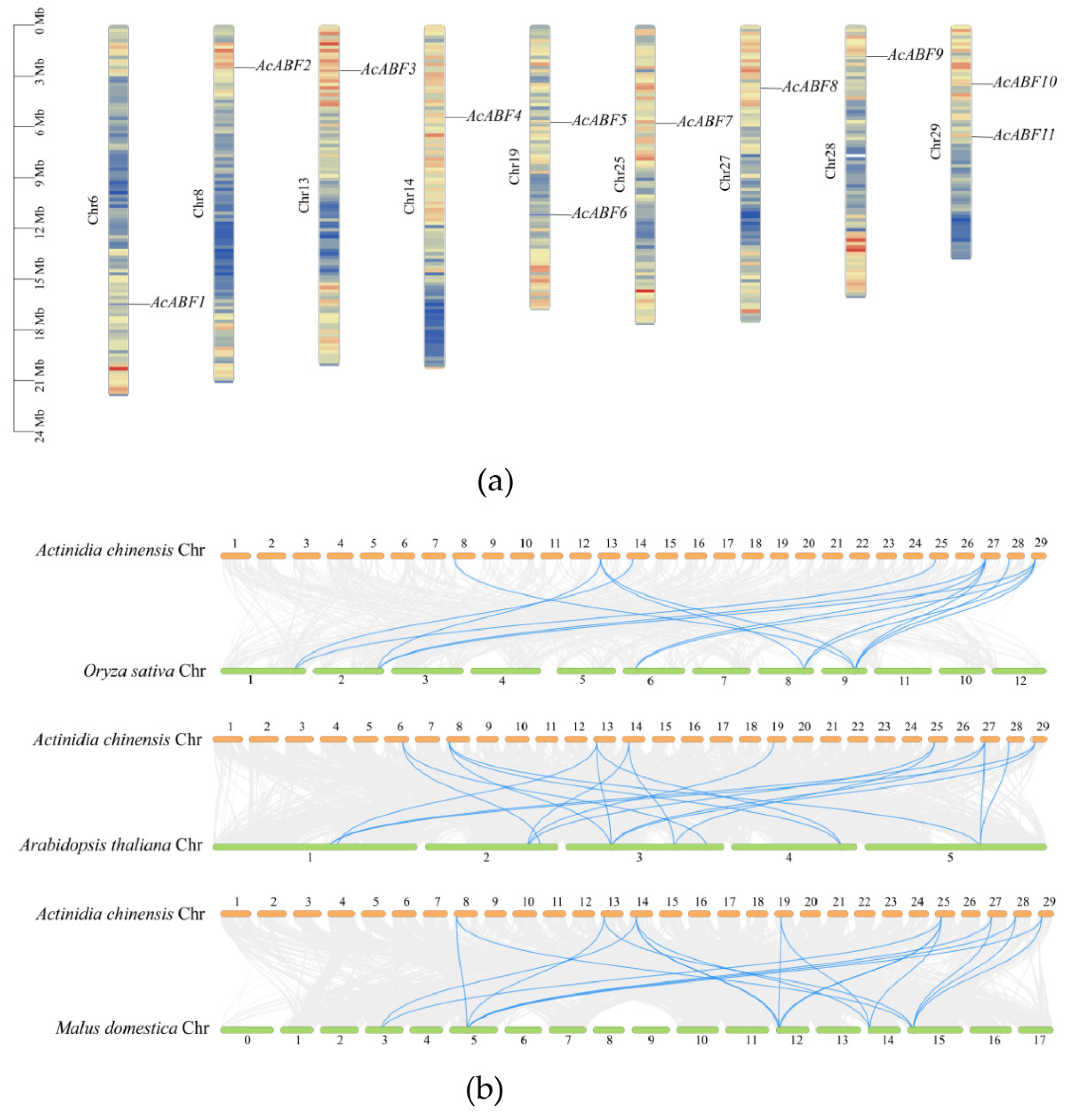 Horticulturae 11 00715 g006