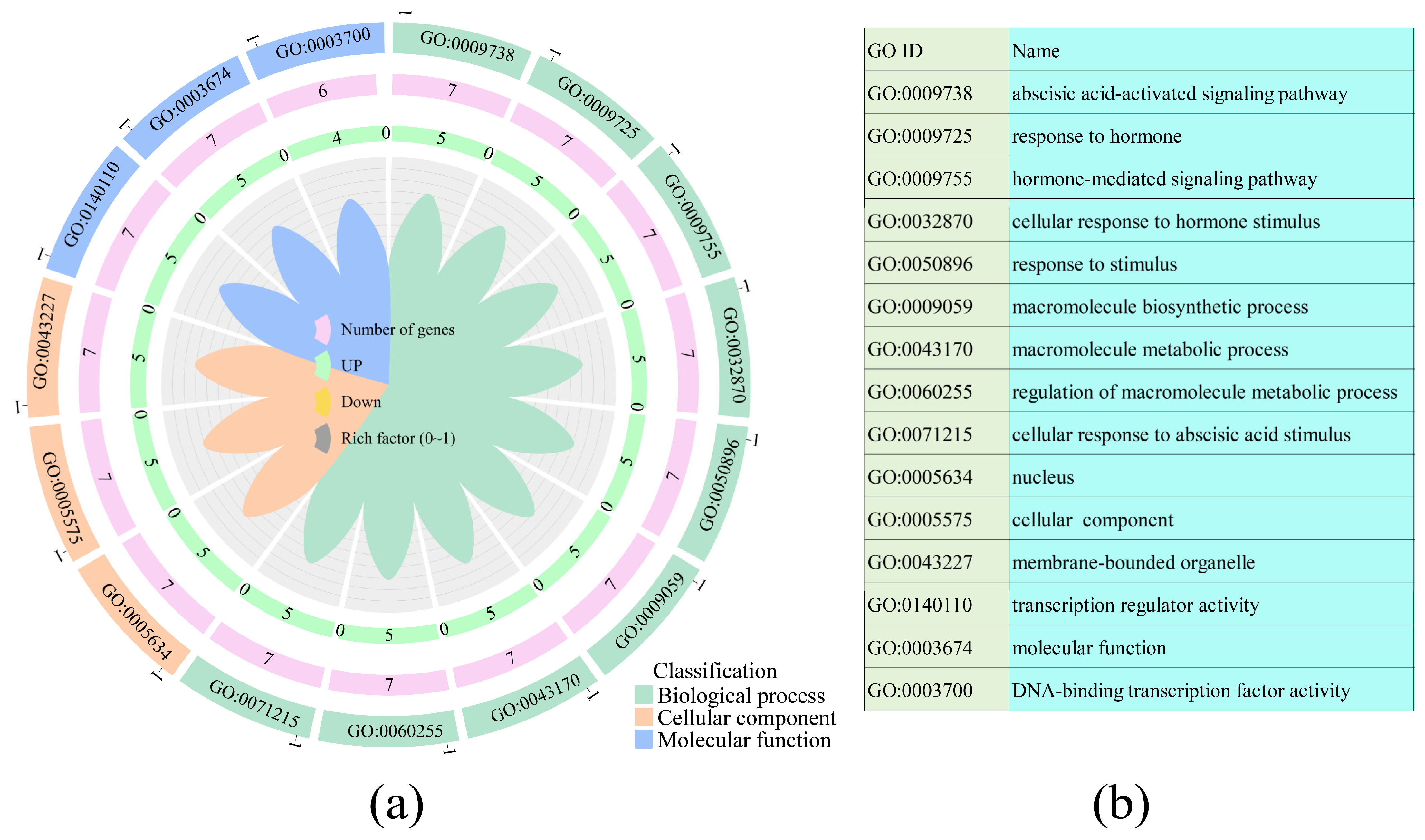 Horticulturae 11 00715 g007