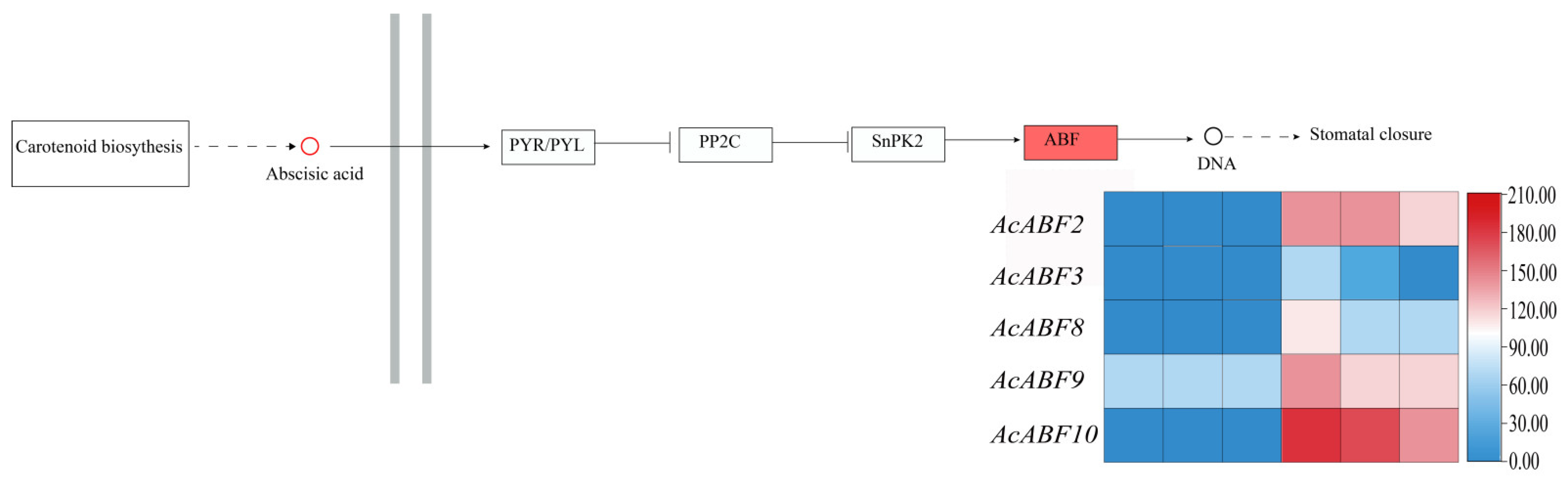 Horticulturae 11 00715 g009