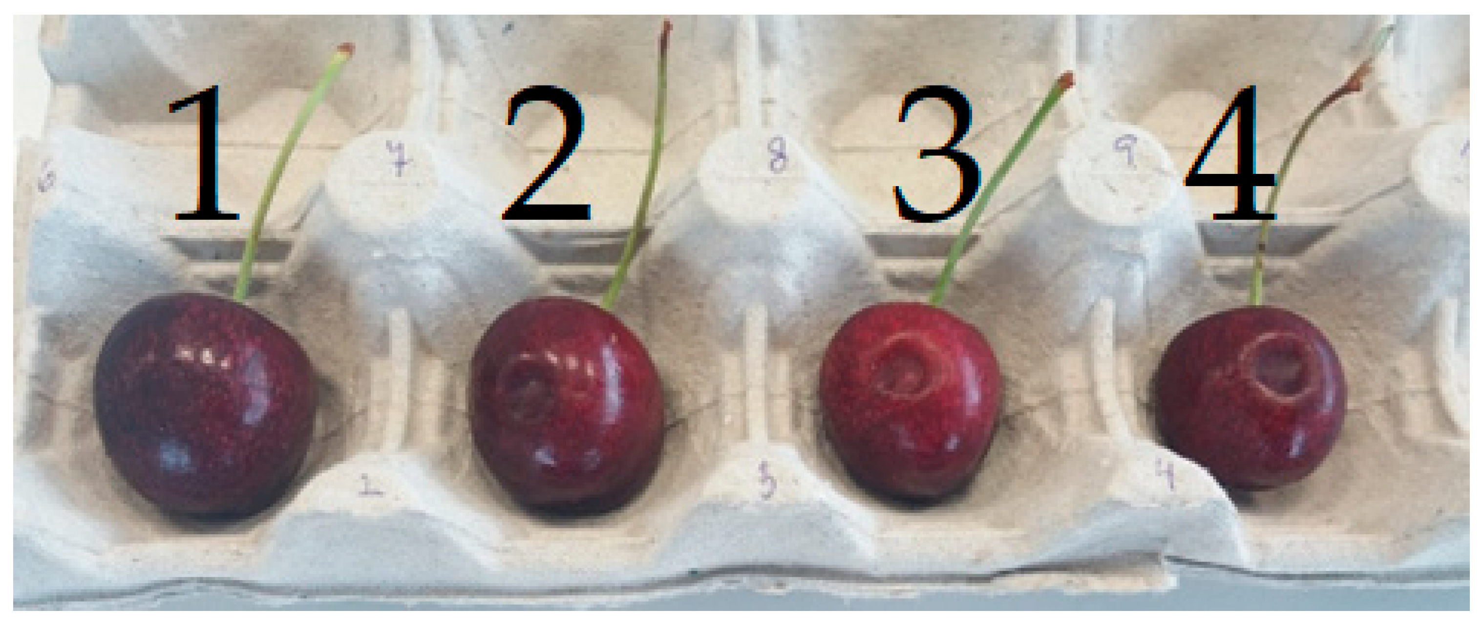 Horticulturae 11 00716 g001 Horticulturae 11 00716 g001