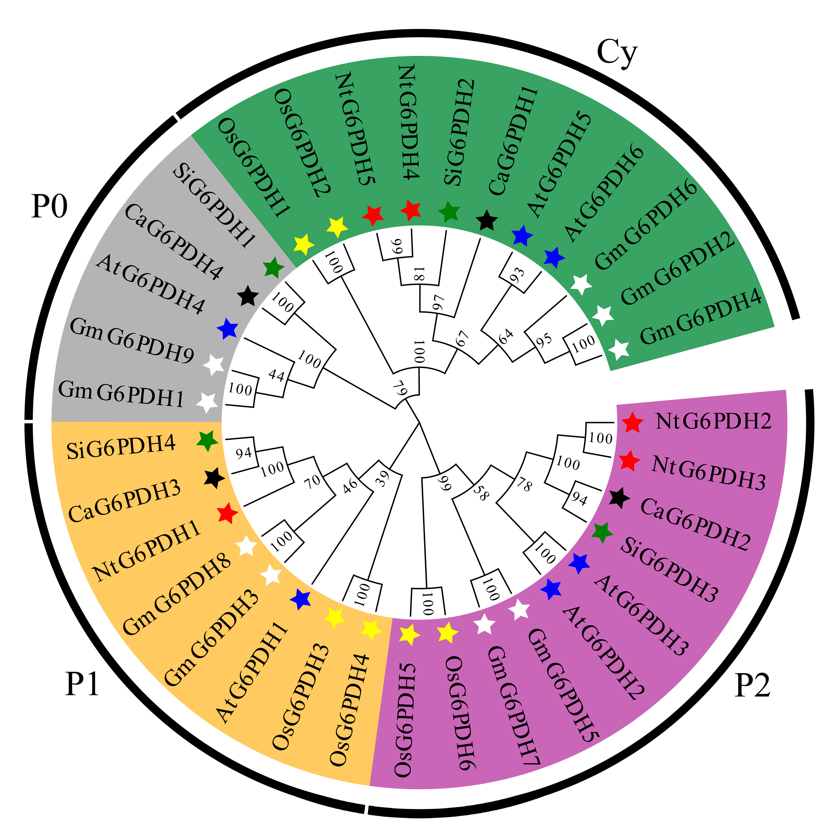 Horticulturae 11 00719 g002