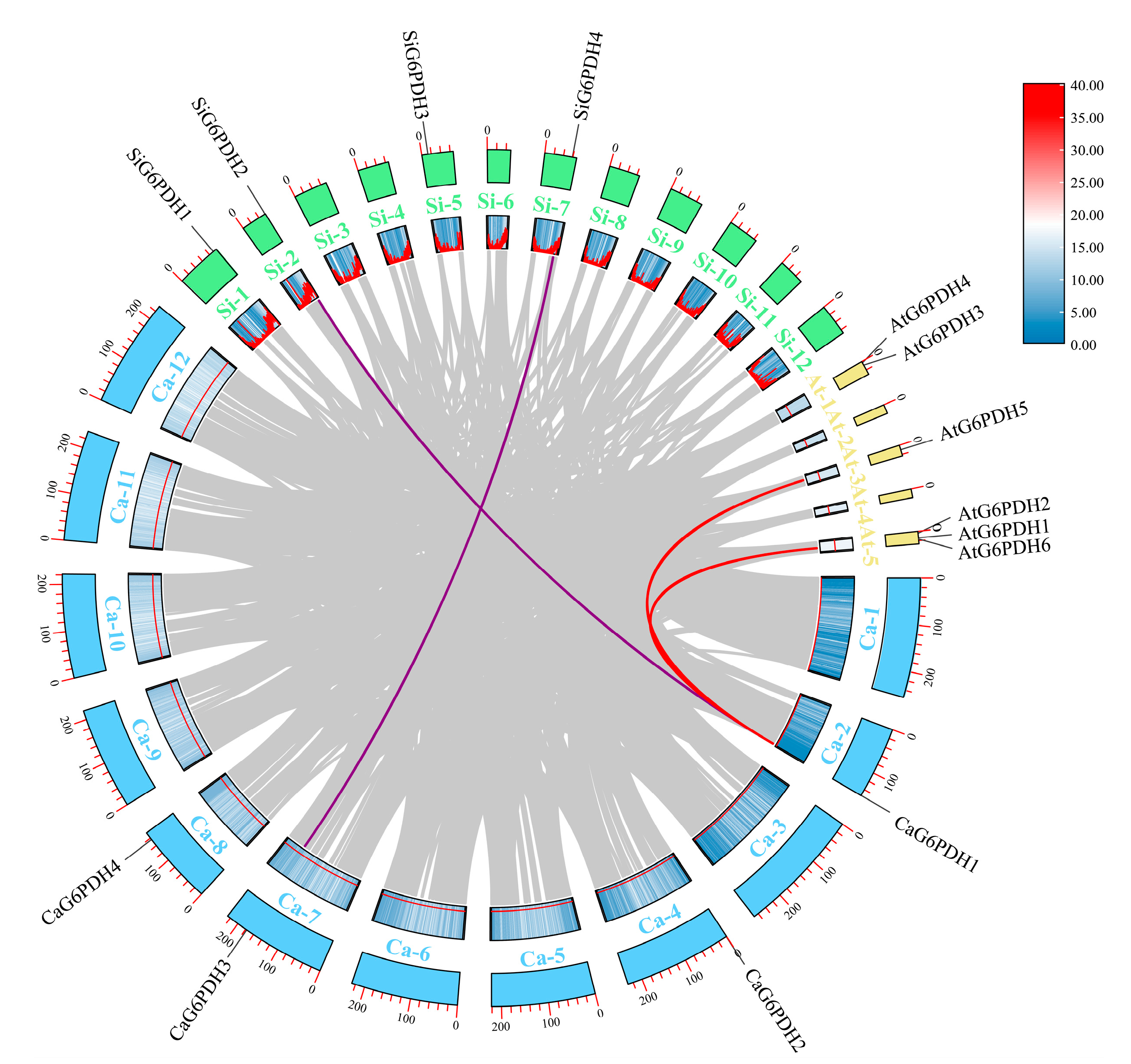 Horticulturae 11 00719 g003