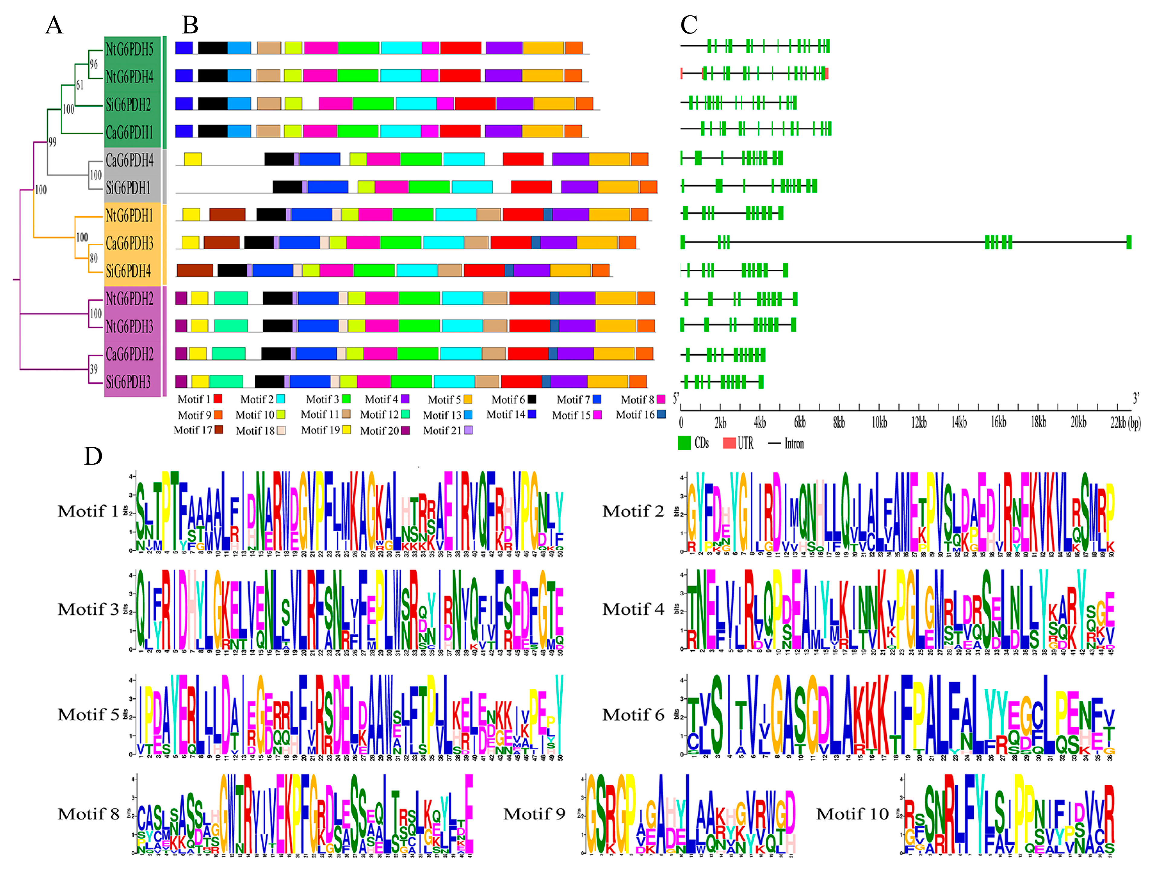 Horticulturae 11 00719 g004