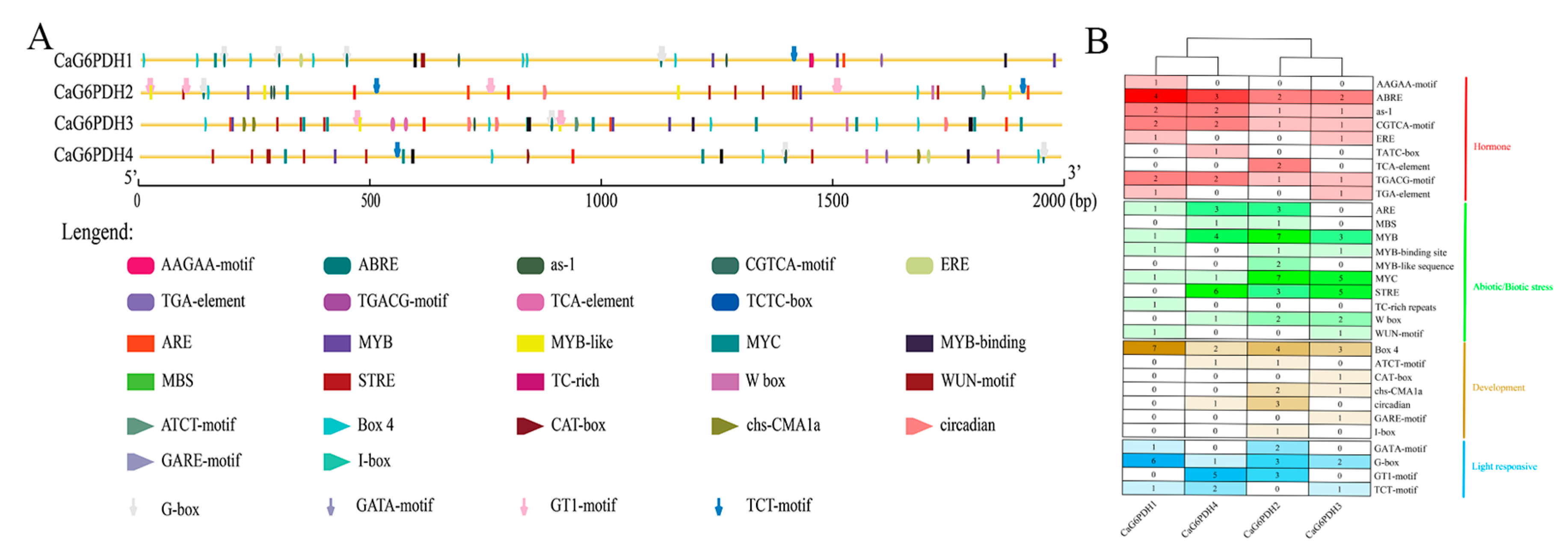 Horticulturae 11 00719 g005