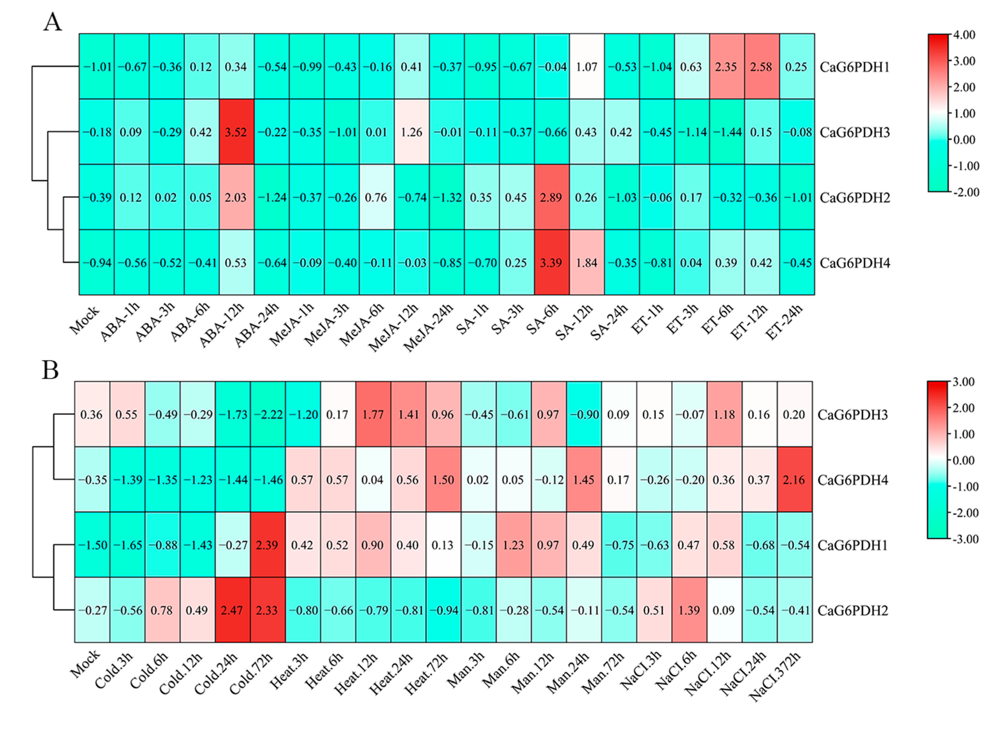 Horticulturae 11 00719 g007