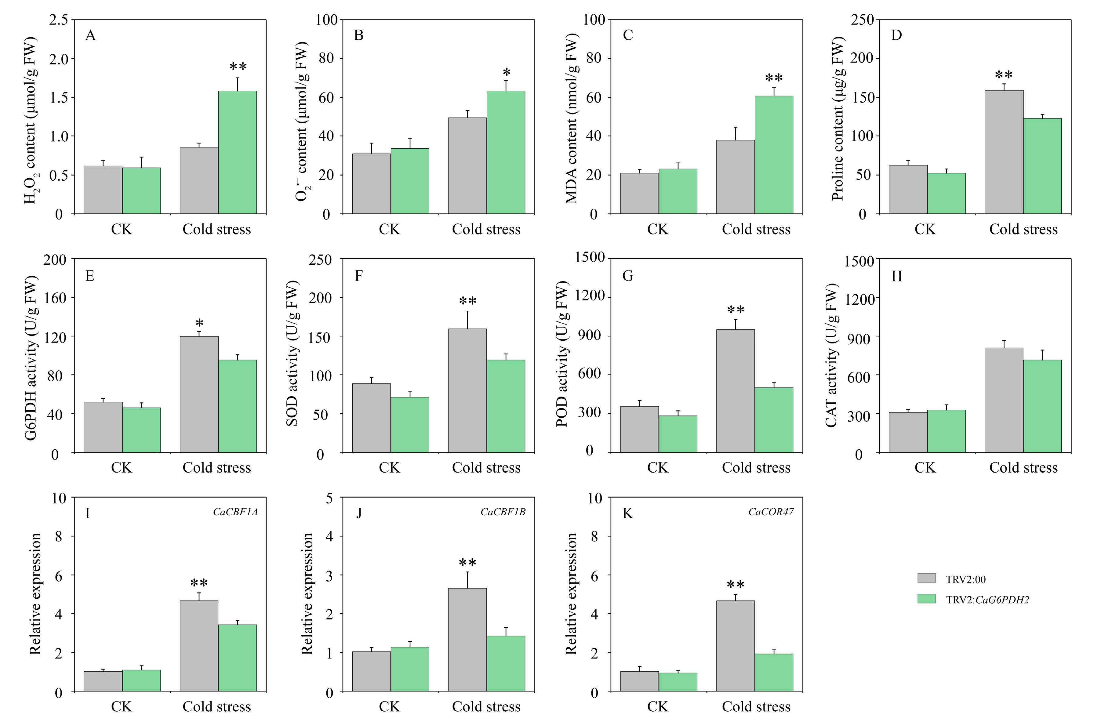 Horticulturae 11 00719 g011