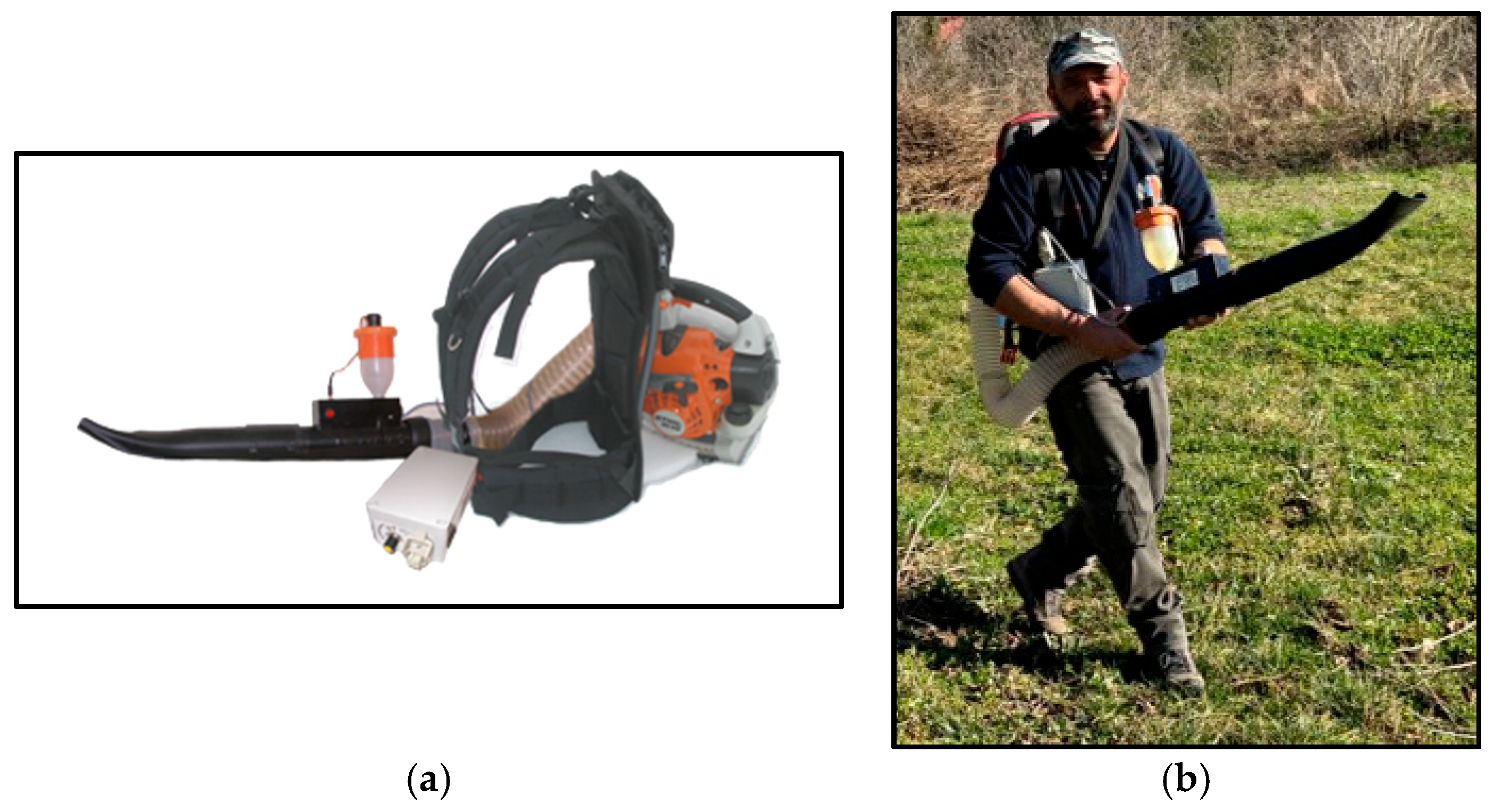 Horticulturae 11 00724 ch004