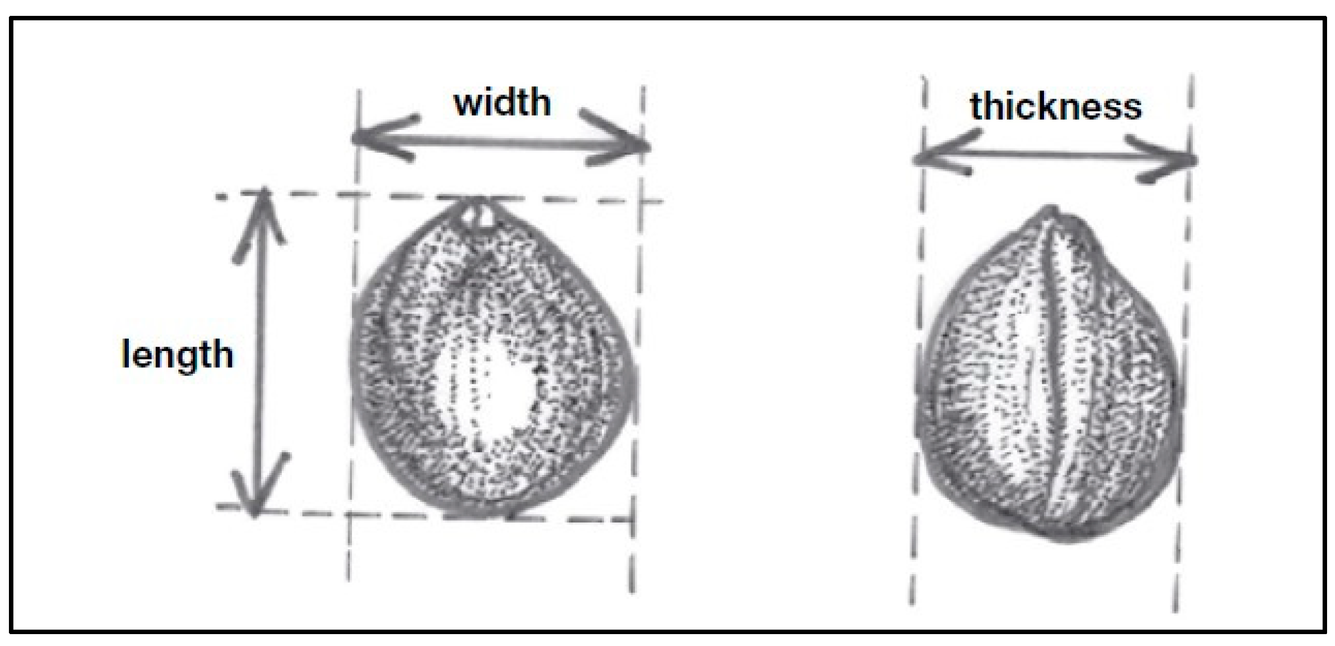Horticulturae 11 00724 g002