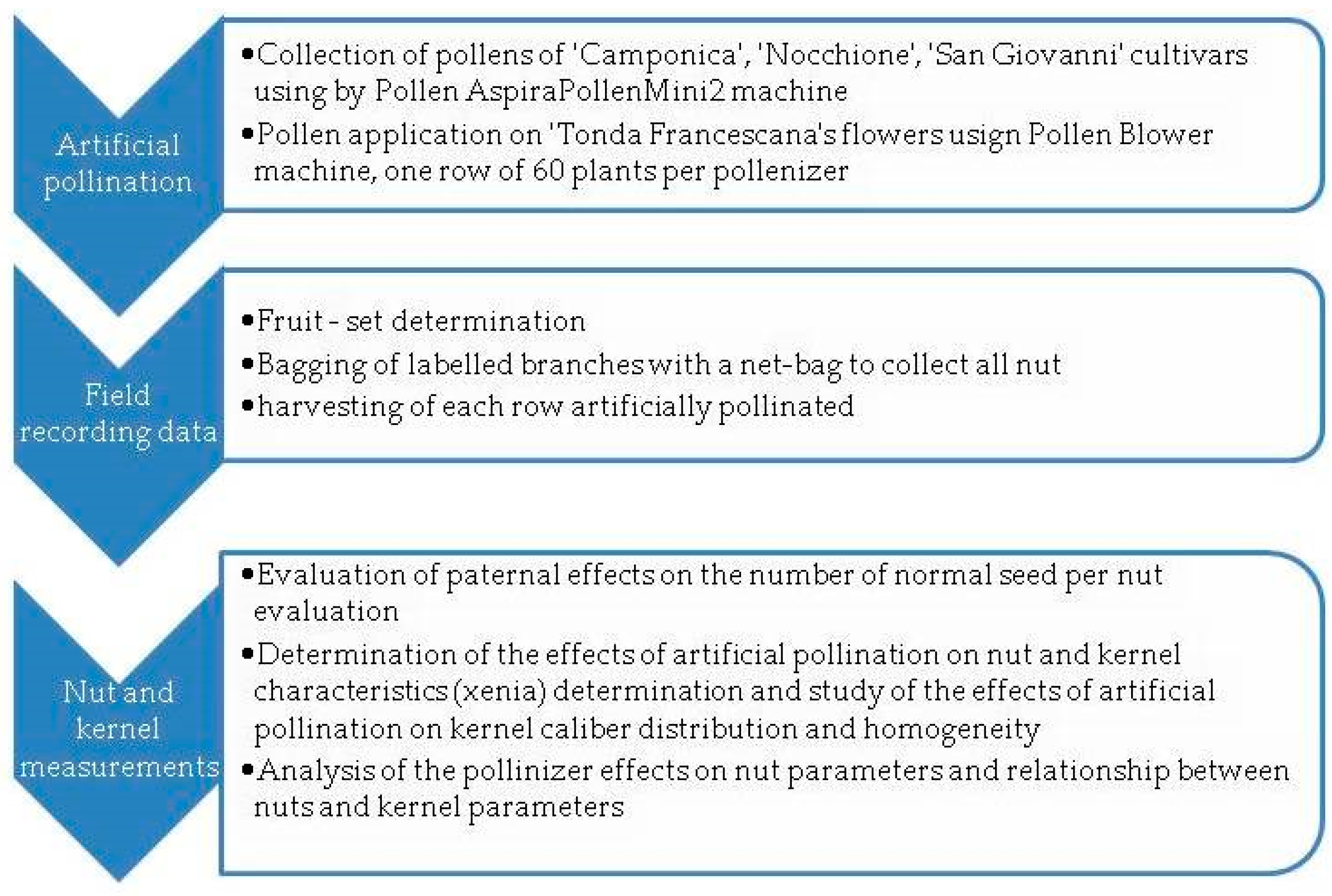 Horticulturae 11 00724 g003