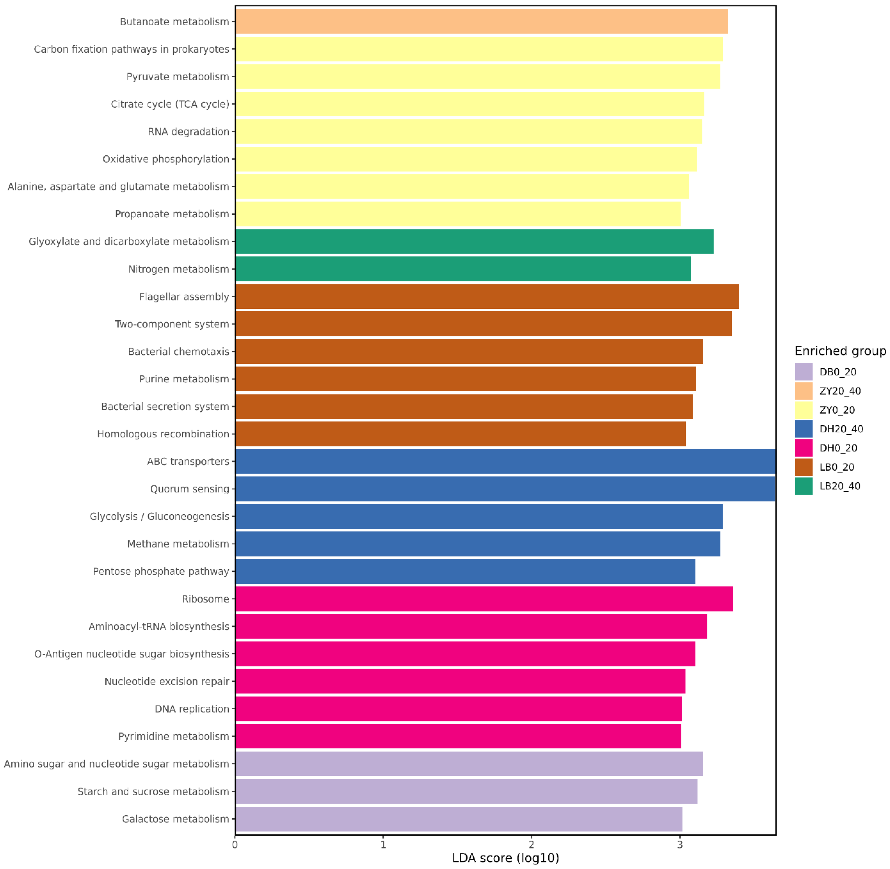 Horticulturae 11 00730 g006