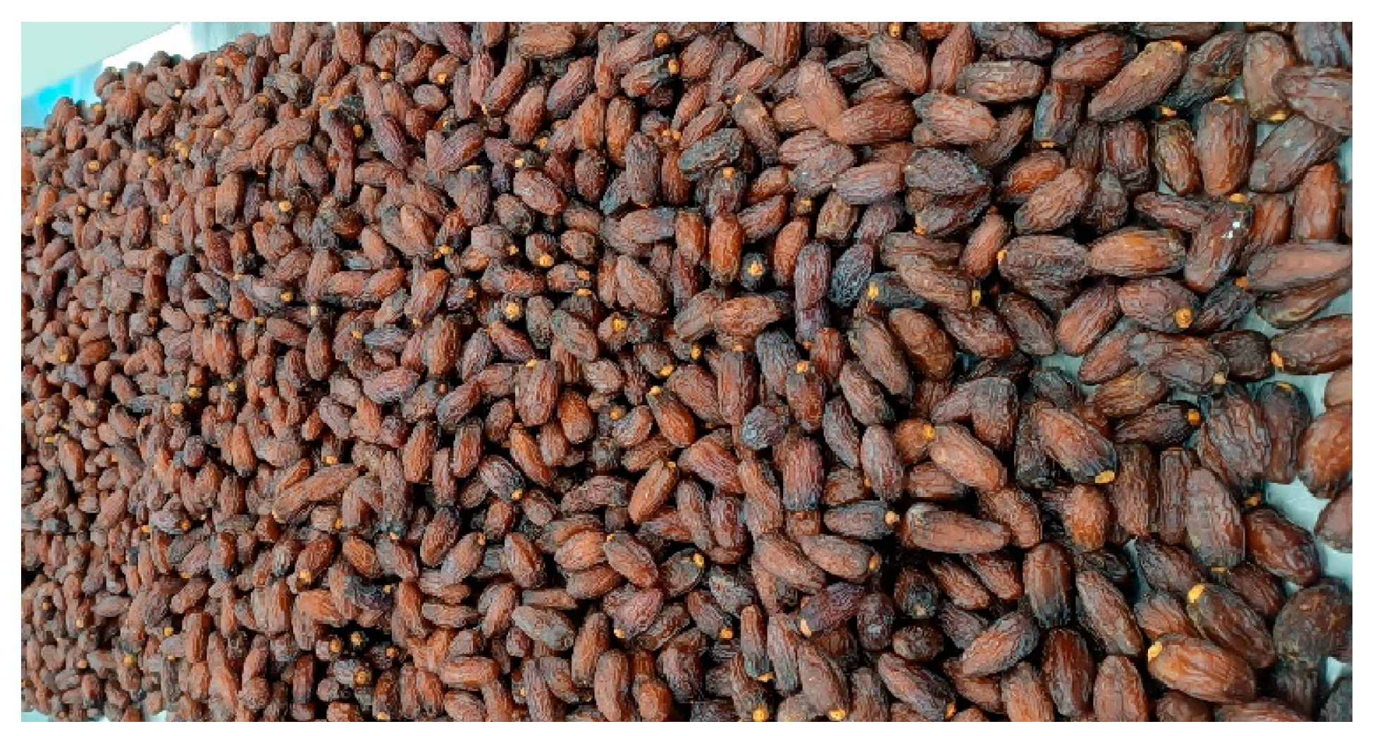 Horticulturae 11 00731 g001