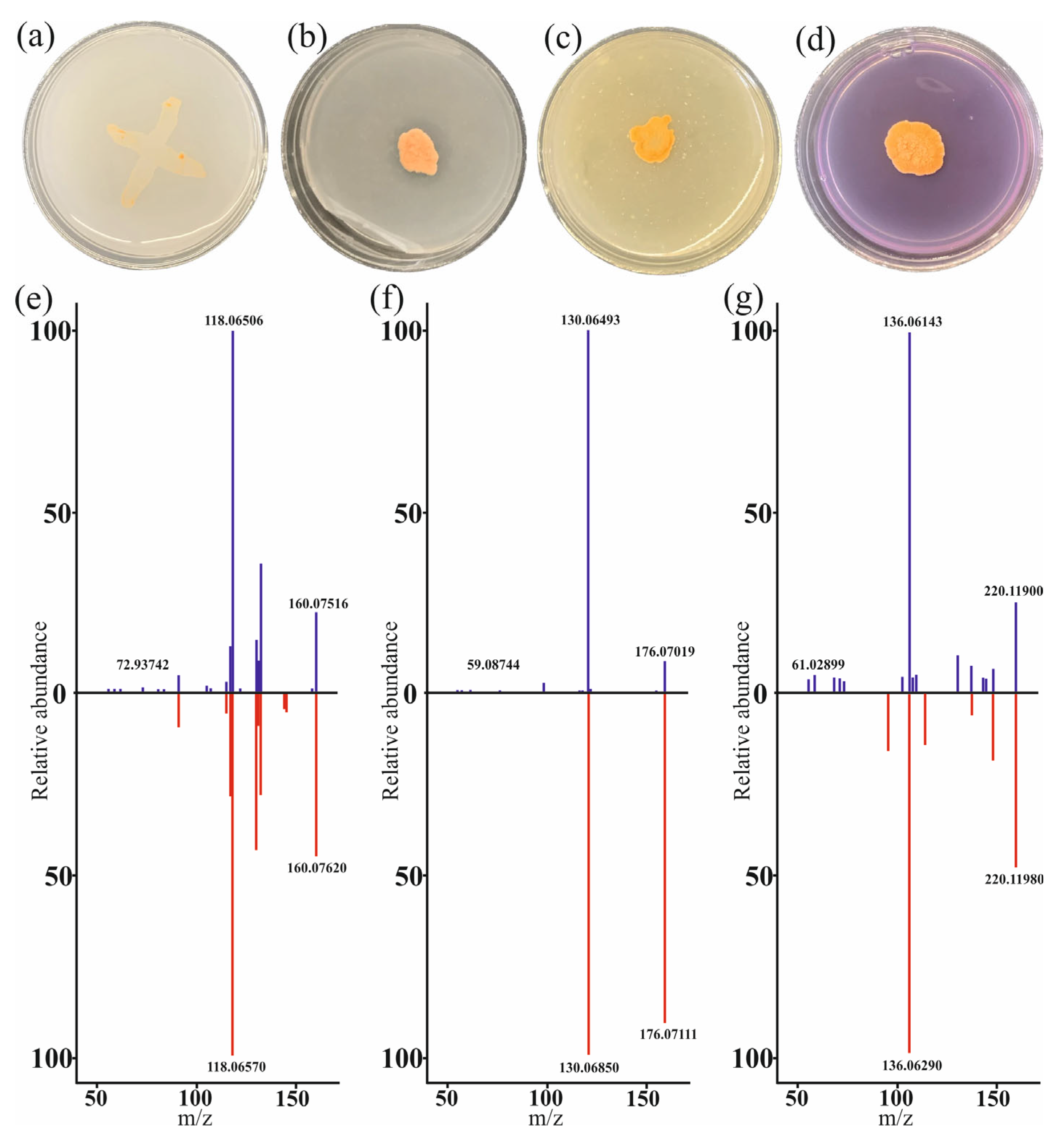 Horticulturae 11 00735 g001