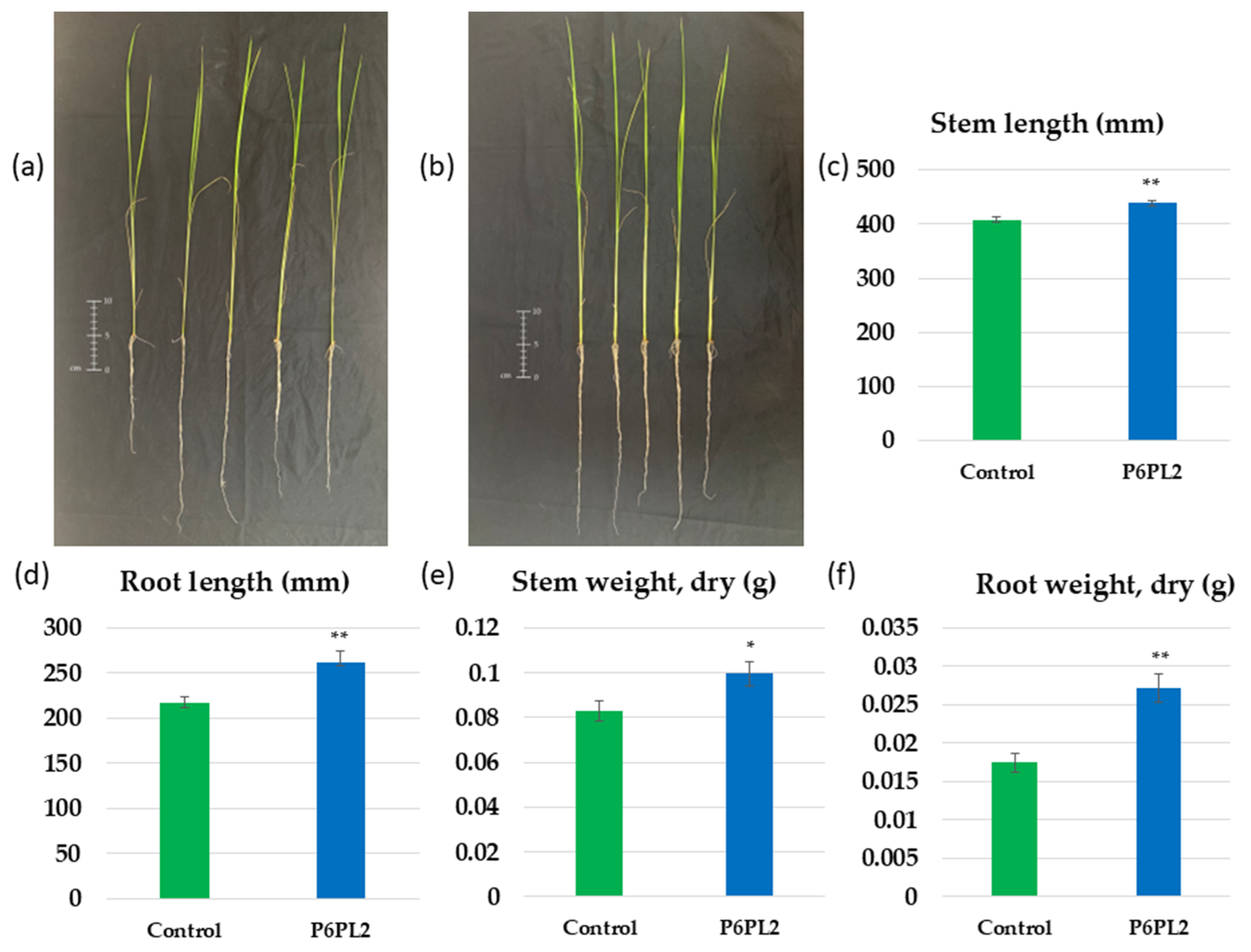 Horticulturae 11 00735 g003