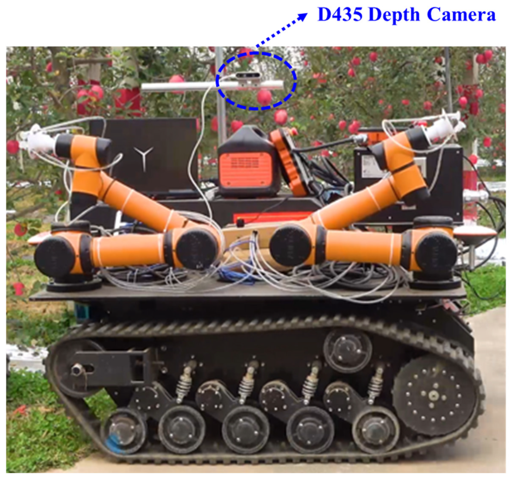Horticulturae 11 00740 g006