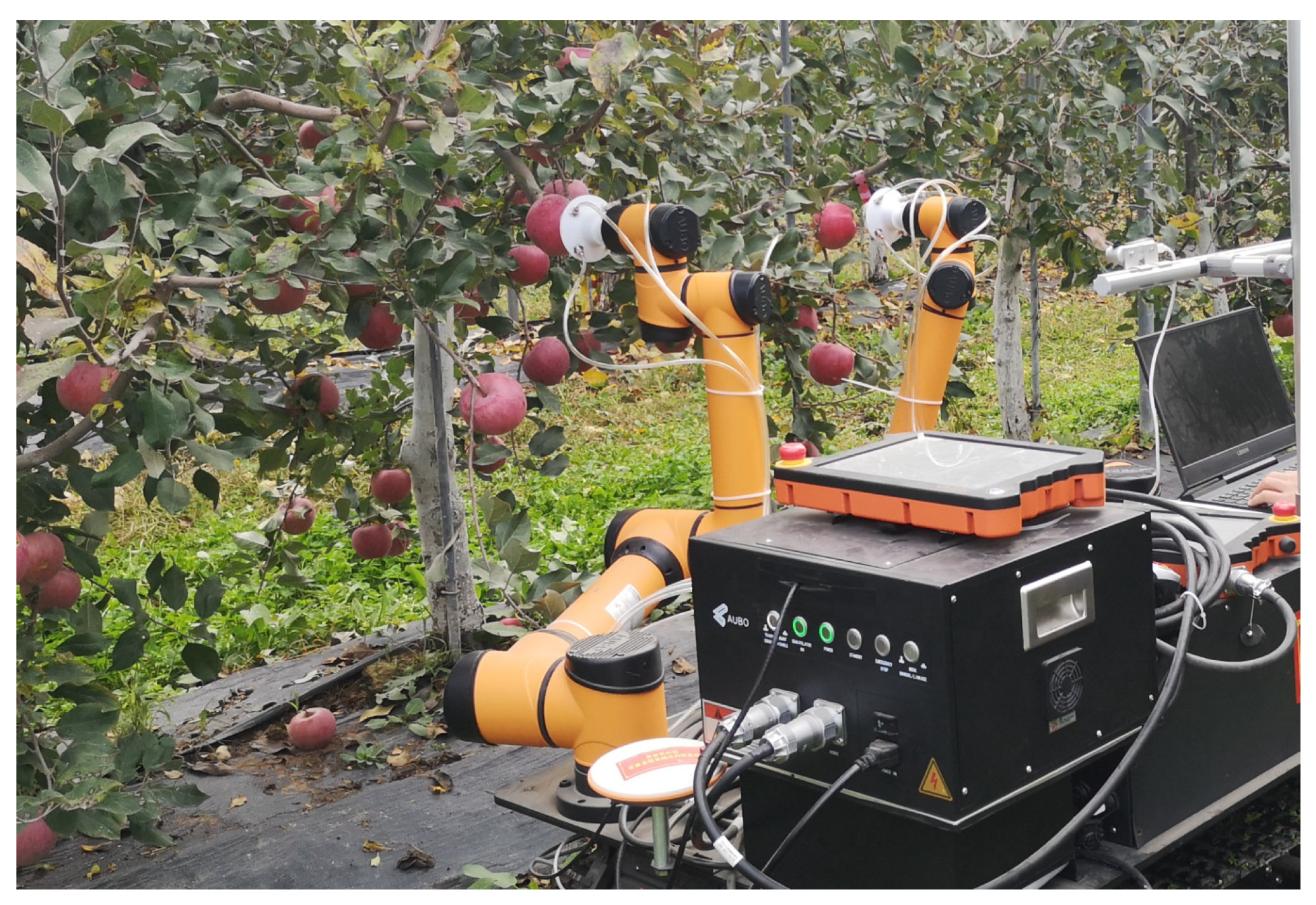 Horticulturae 11 00740 g019