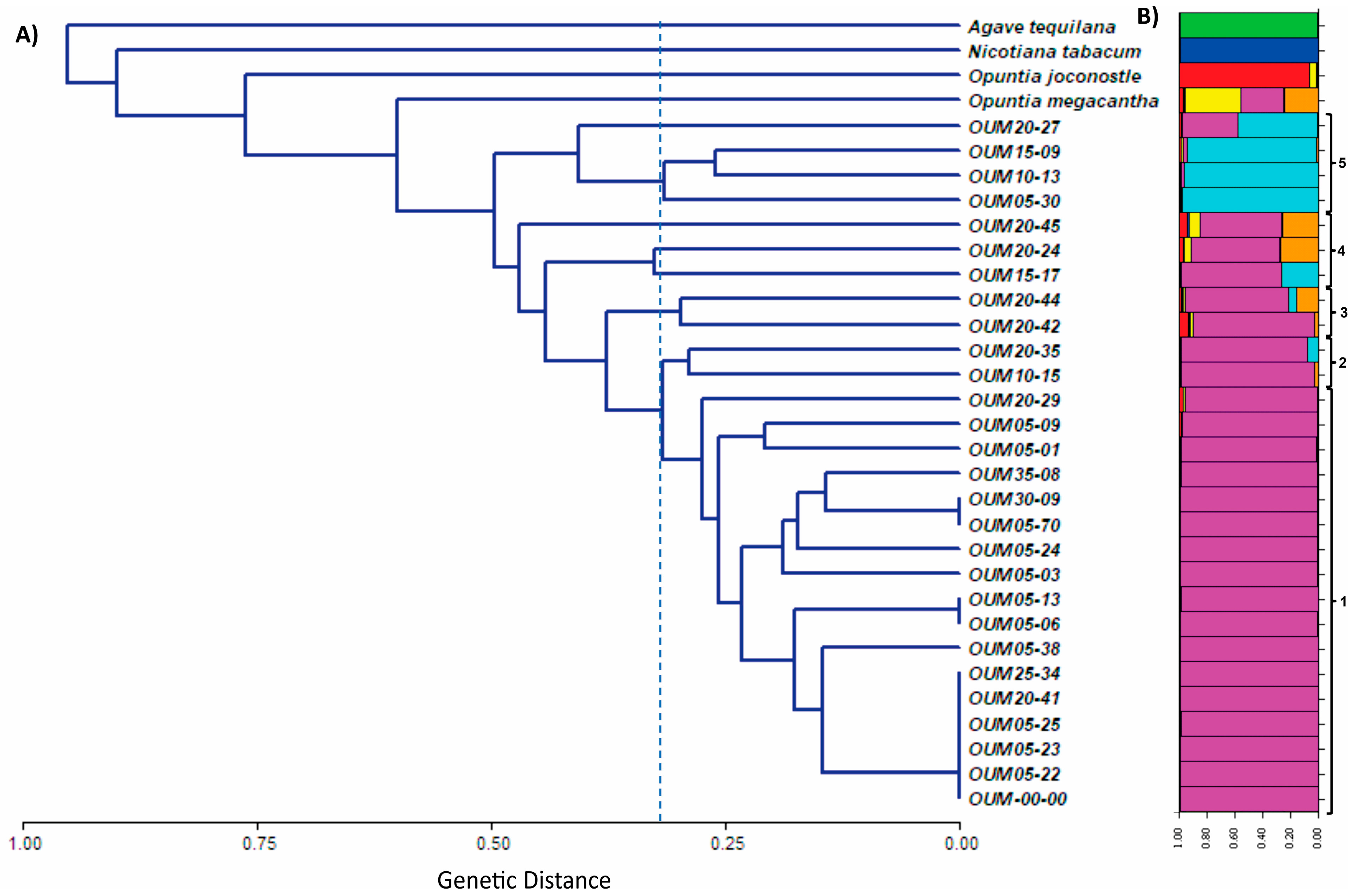 Horticulturae 11 00743 g005 Horticulturae 11 00743 g005