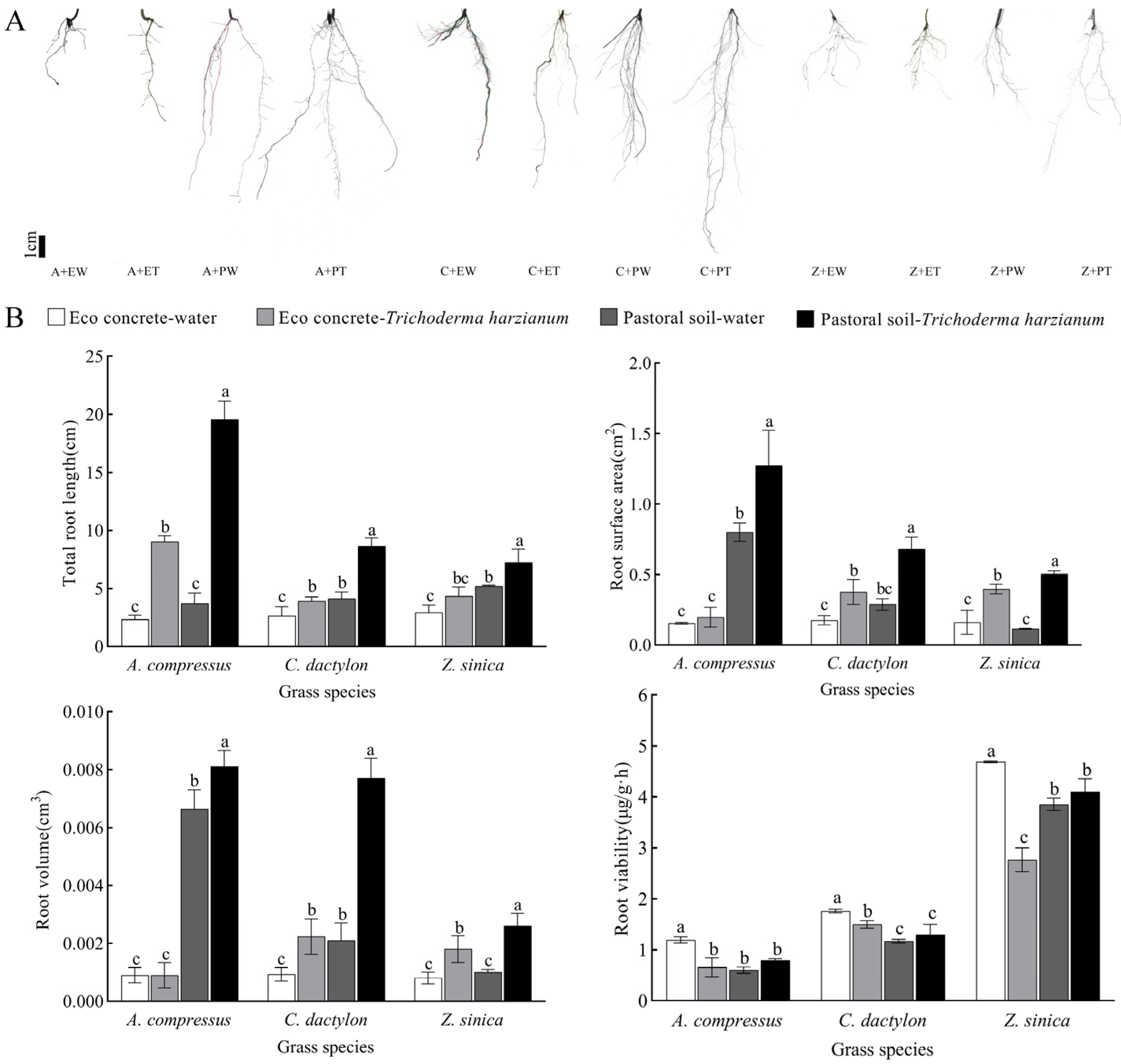 Horticulturae 11 00746 g002