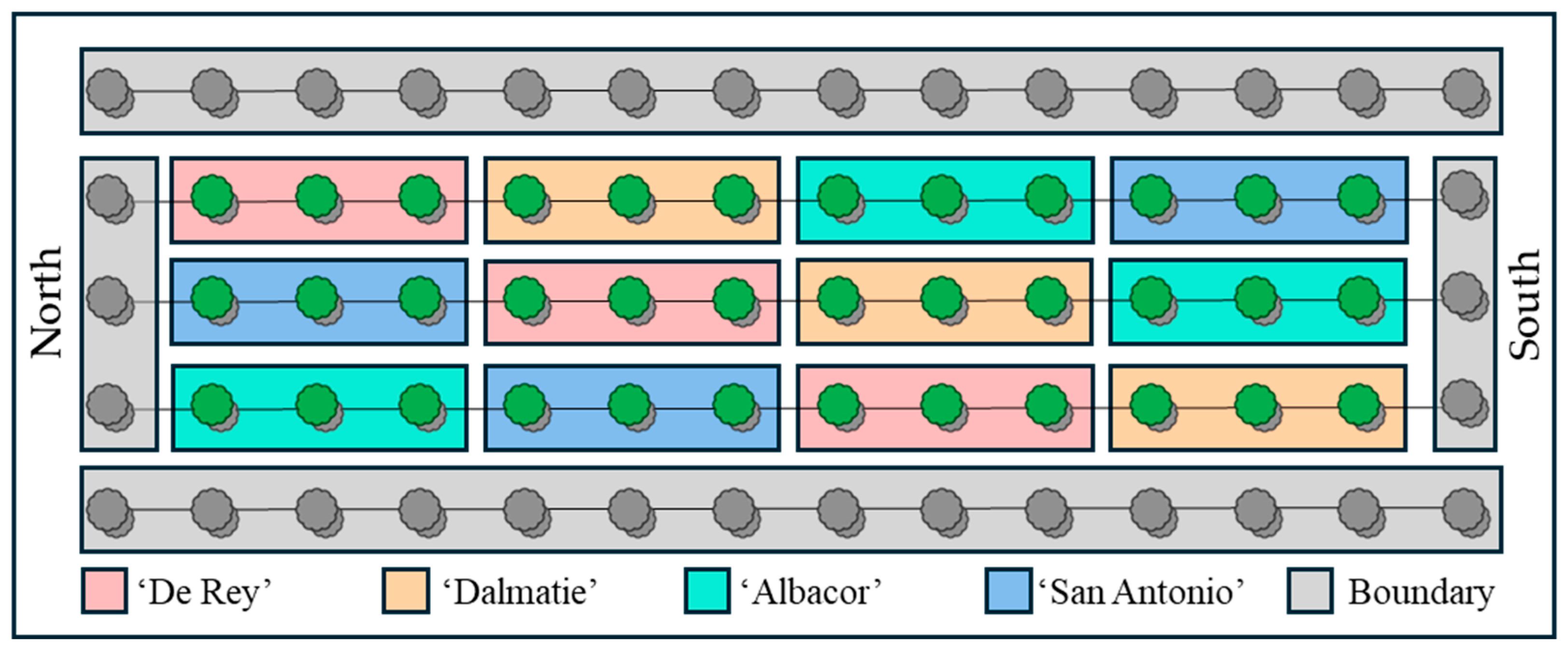 Horticulturae 11 00750 g001