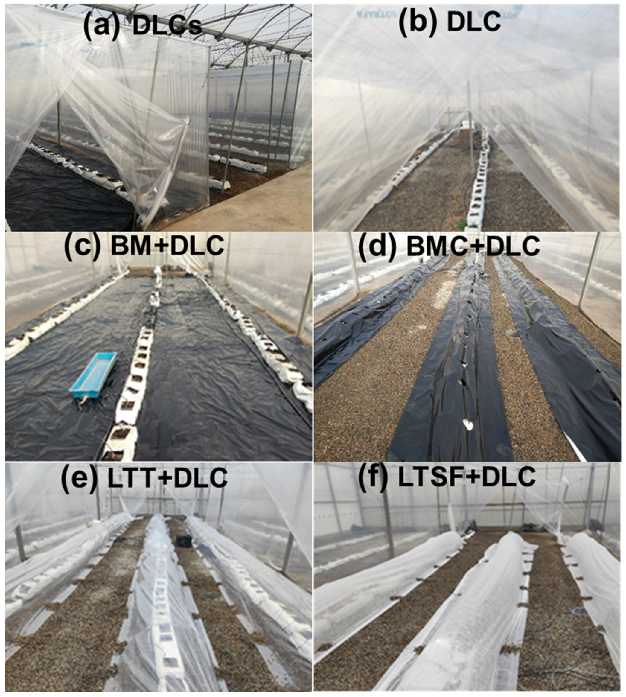 Horticulturae 11 00752 g001