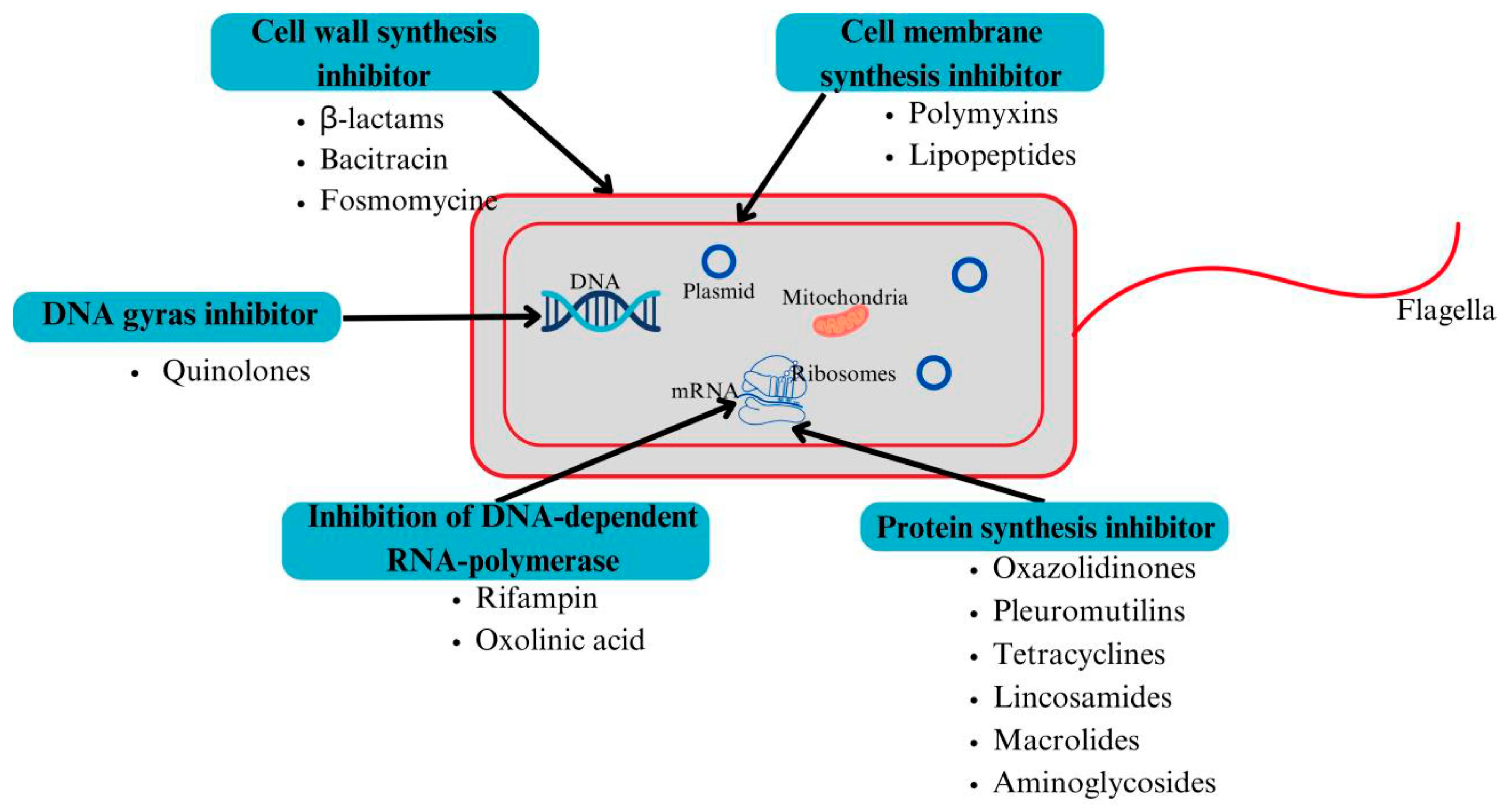 Horticulturae 11 00753 g001 Horticulturae 11 00753 g001