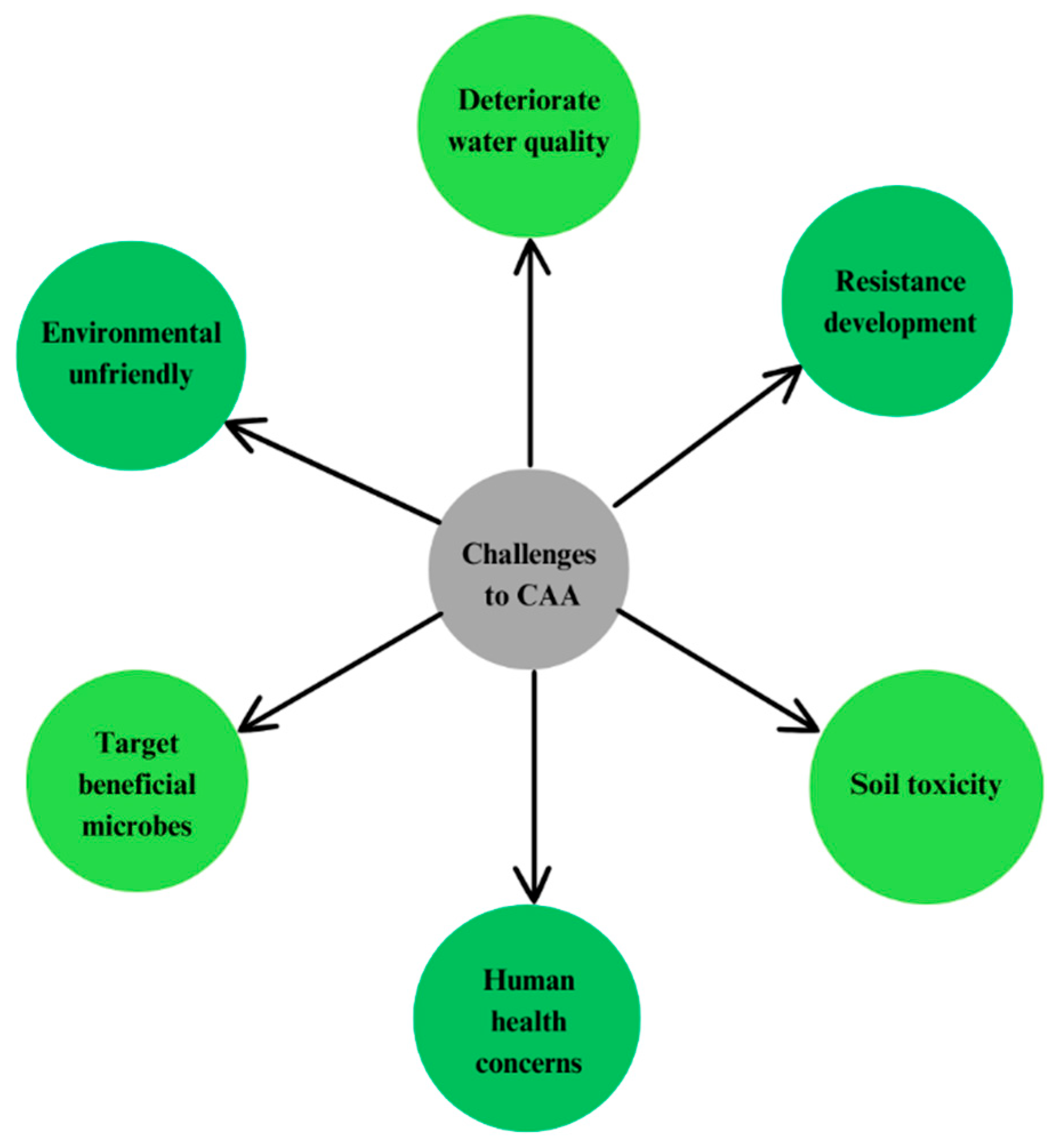 Horticulturae 11 00753 g003 Horticulturae 11 00753 g003