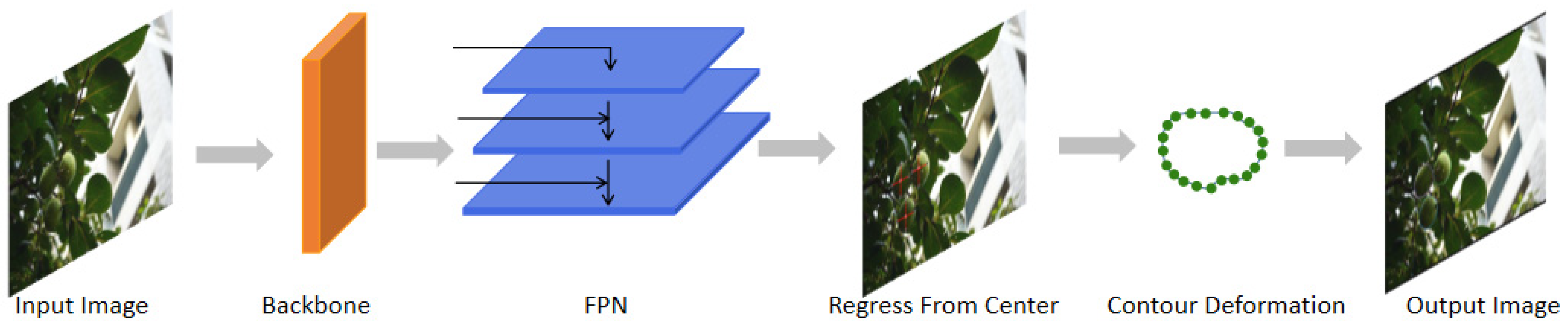 Horticulturae 11 00761 g003
