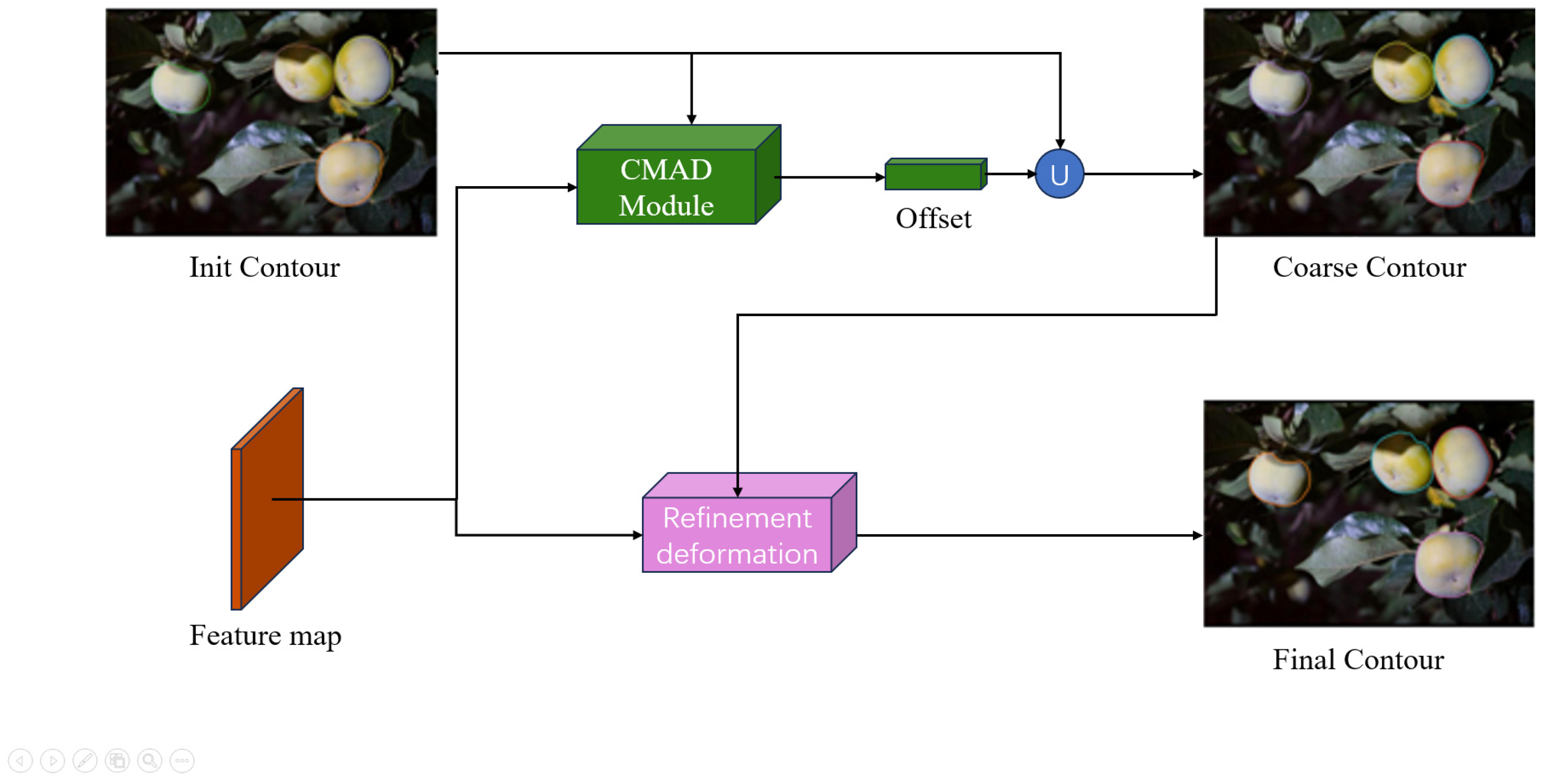 Horticulturae 11 00761 g007
