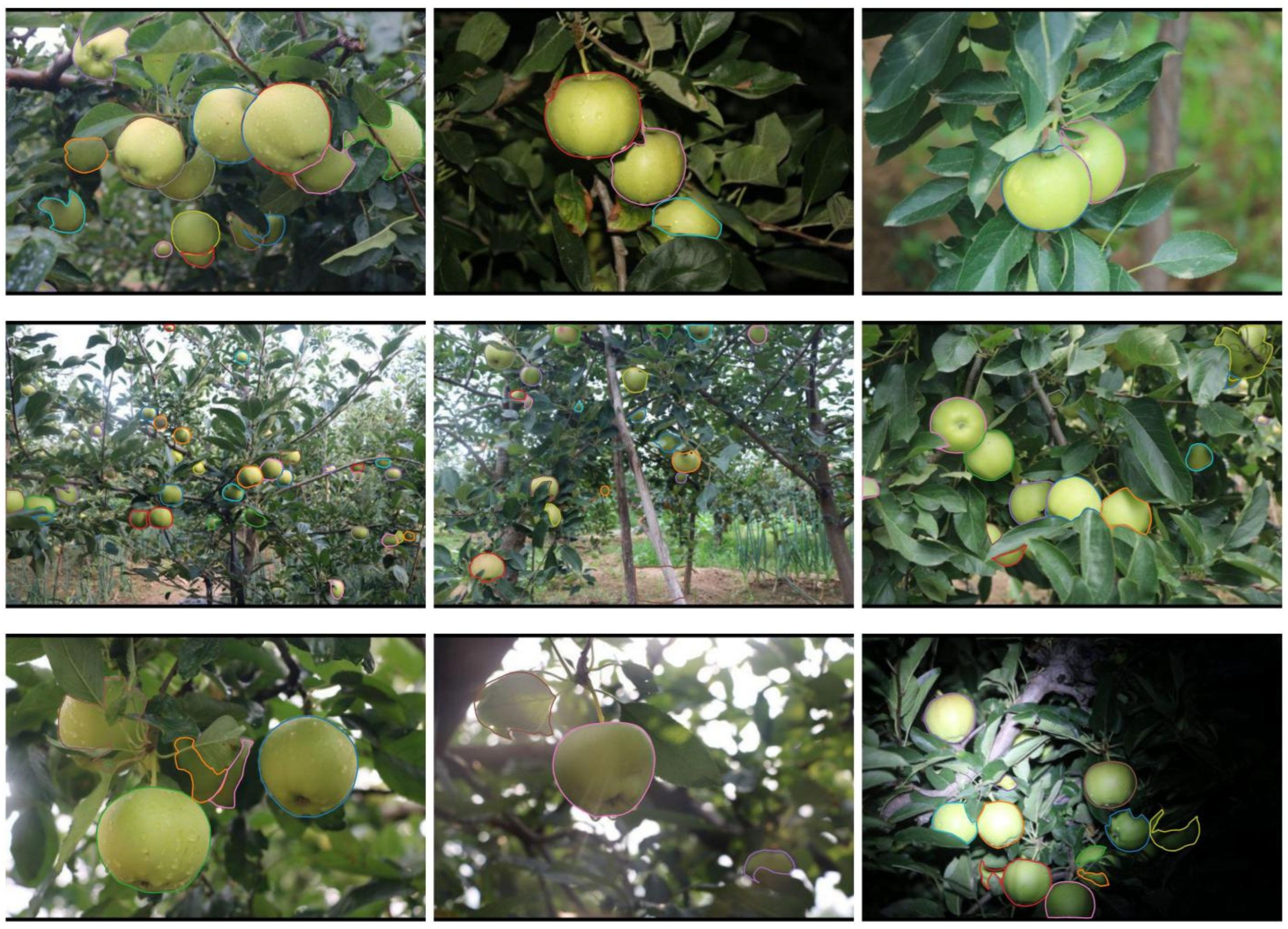 Horticulturae 11 00761 g012