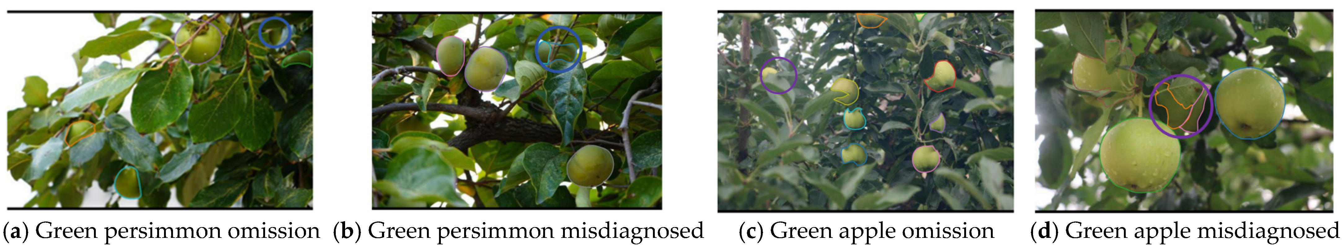 Horticulturae 11 00761 g013