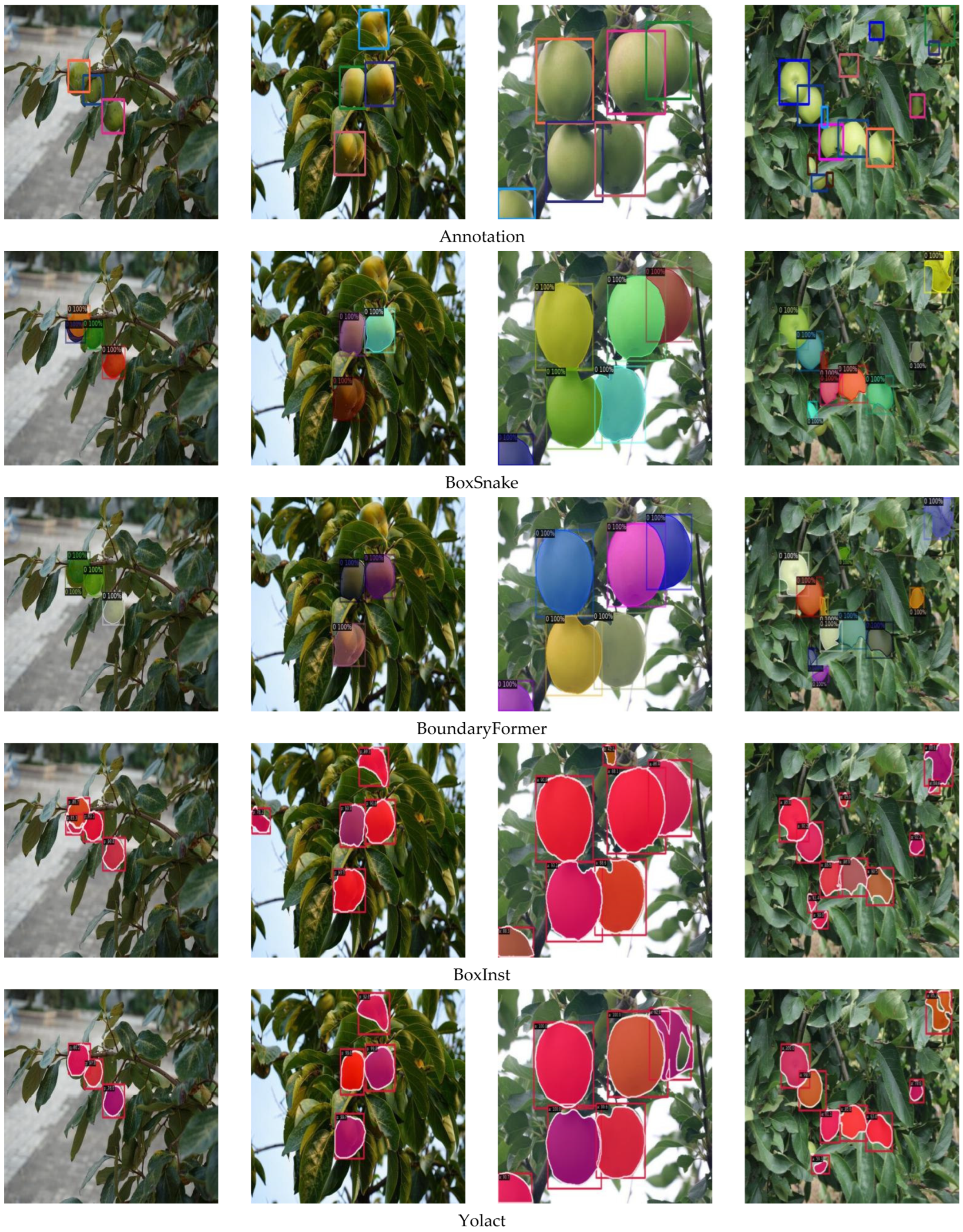 Horticulturae 11 00761 g014a