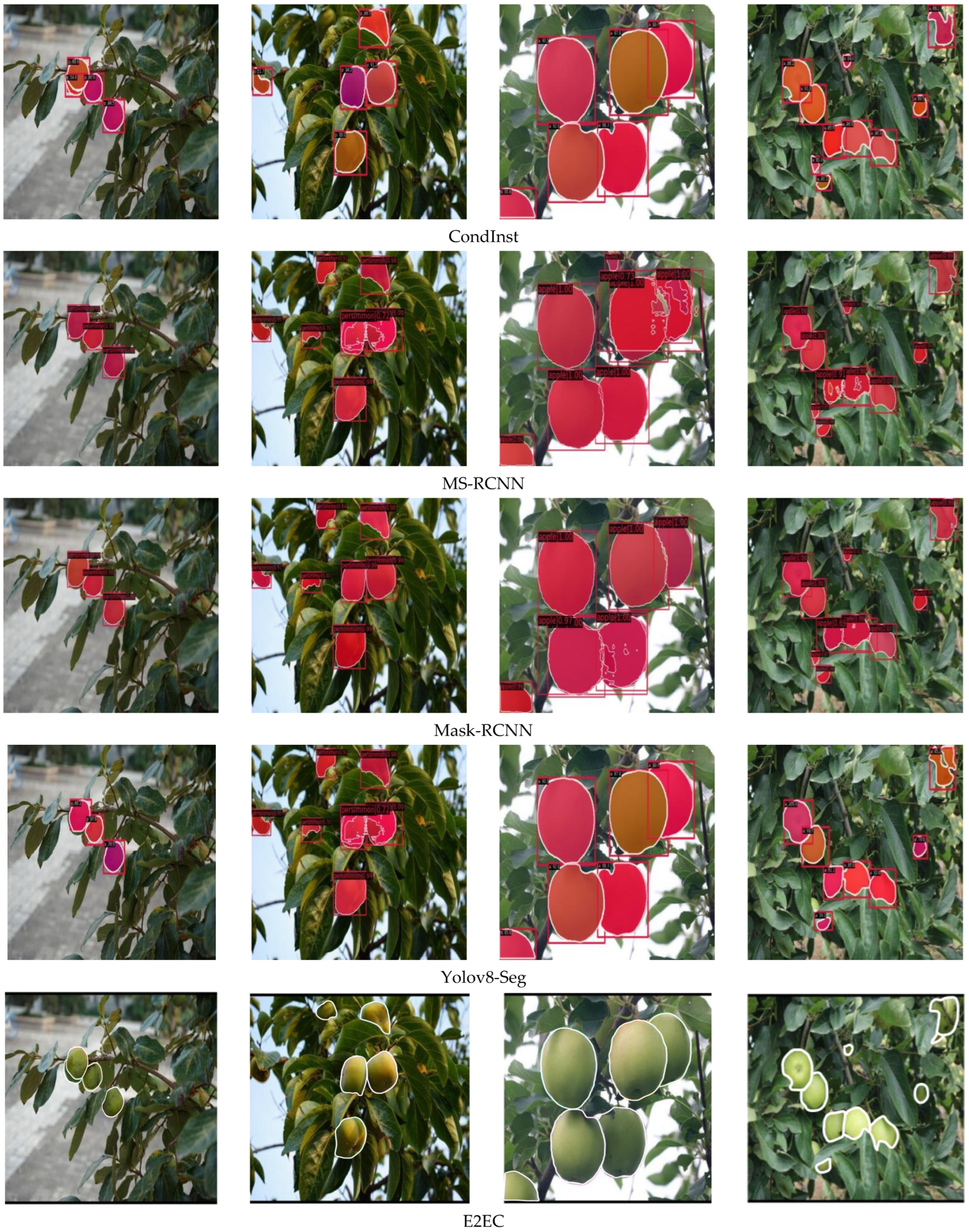 Horticulturae 11 00761 g014b