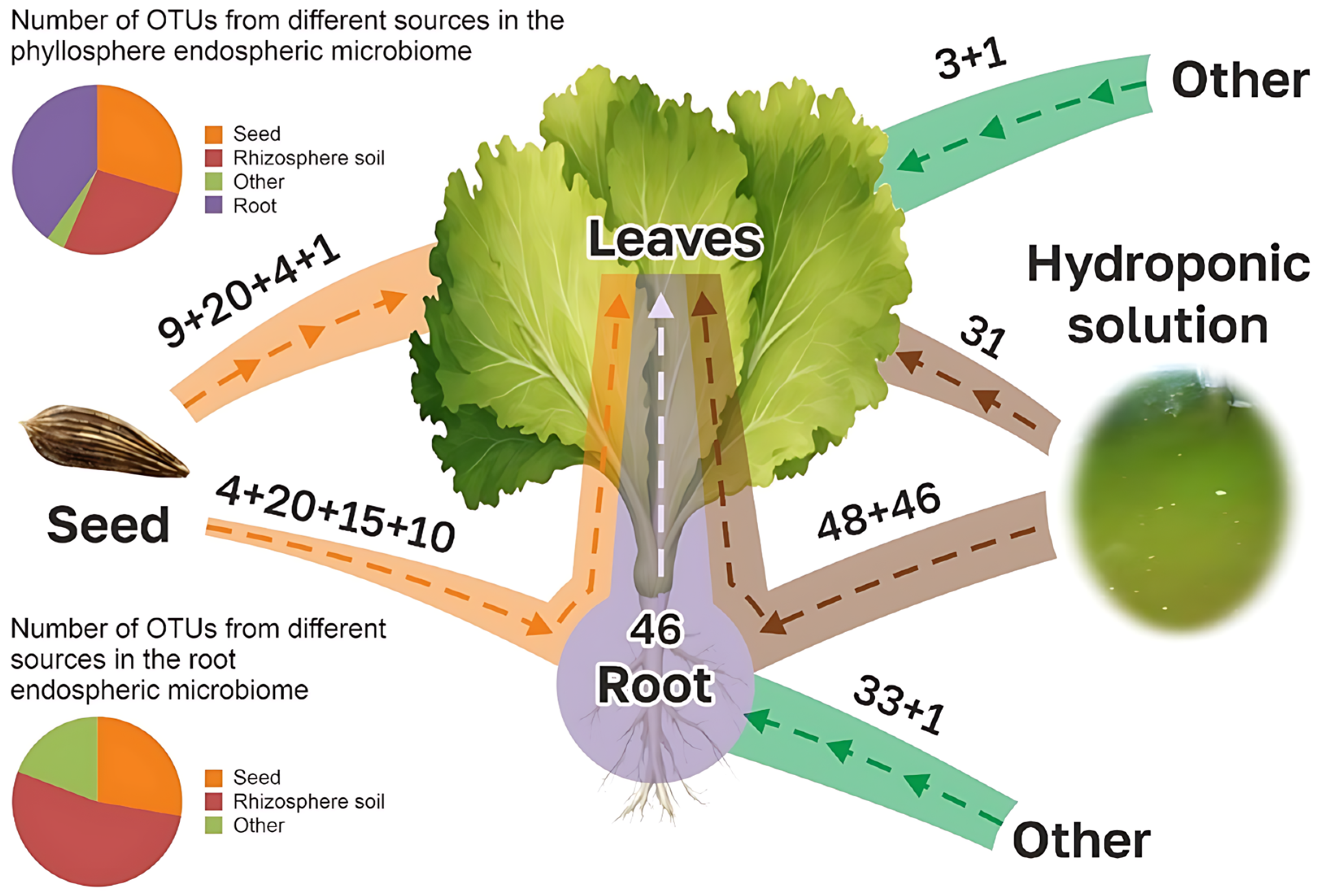 Horticulturae 11 00762 g0a1