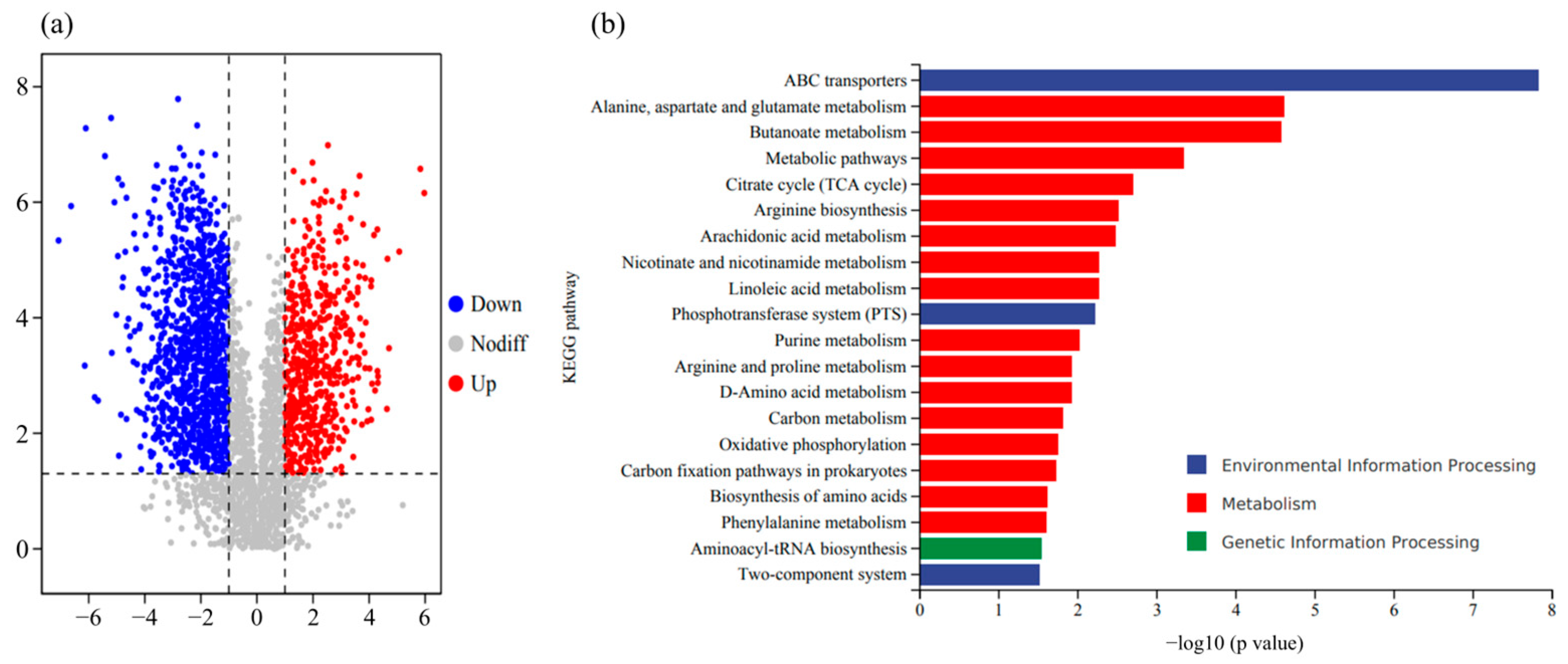 Horticulturae 11 00764 g007