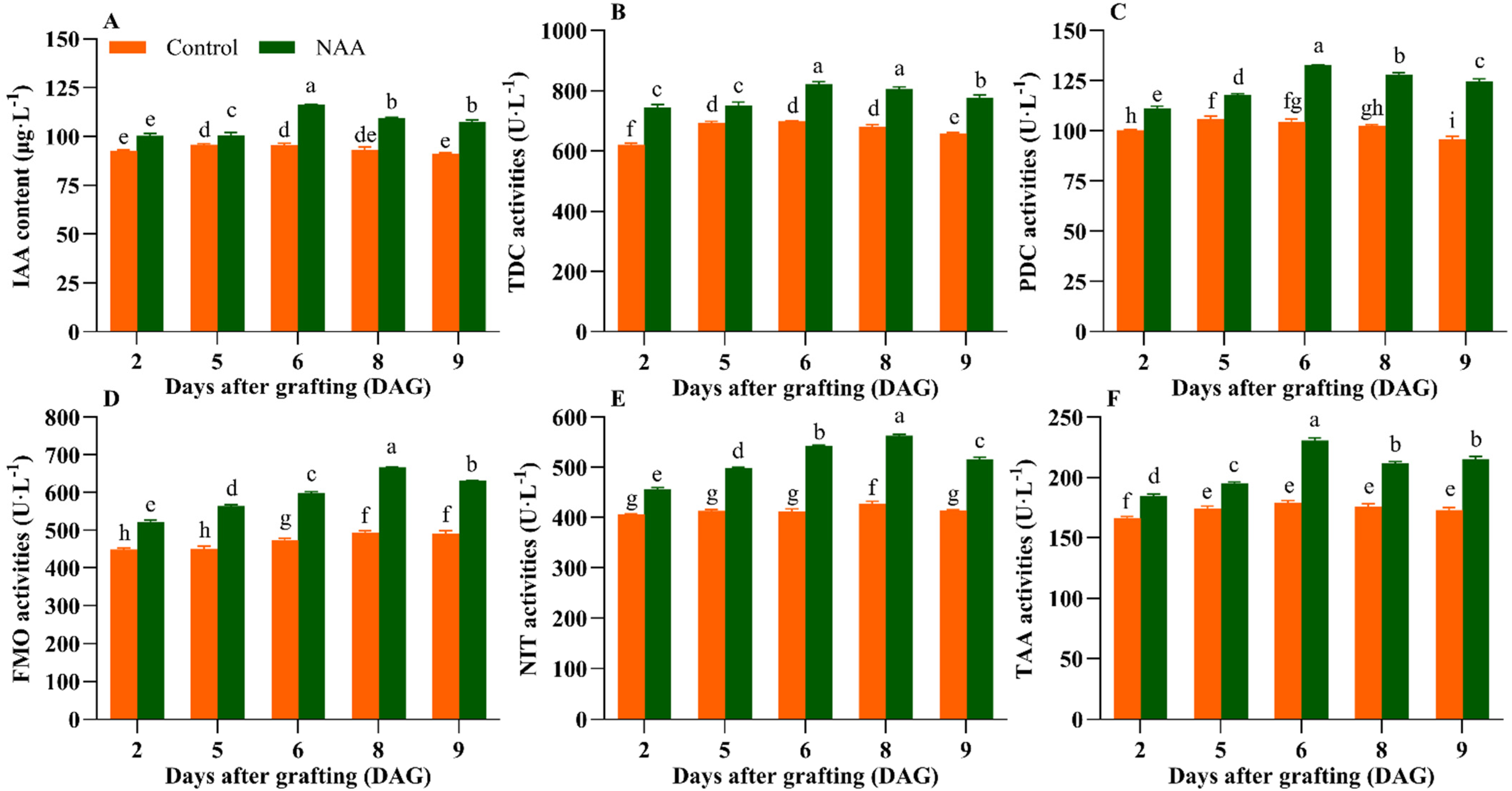 Horticulturae 11 00765 g002