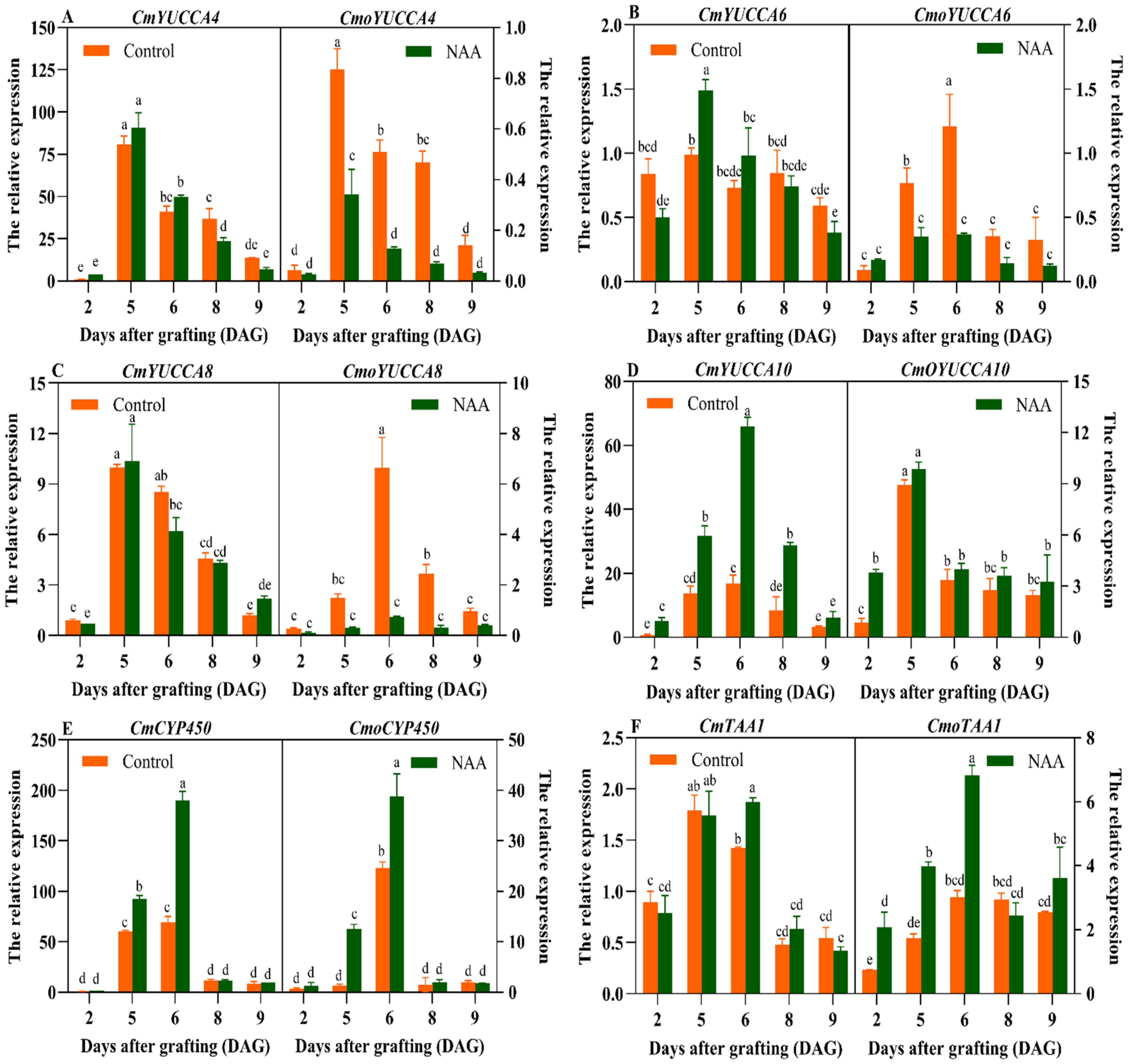 Horticulturae 11 00765 g003