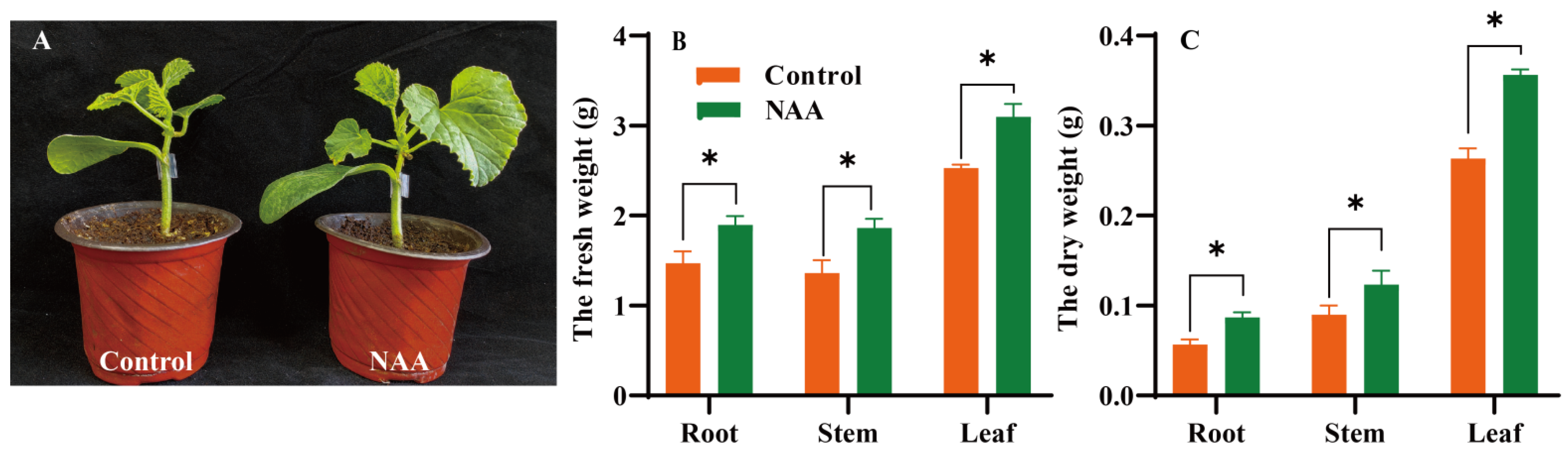 Horticulturae 11 00765 g005